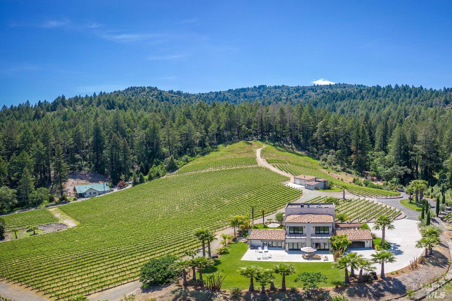 Modern European Vineyard Estate
