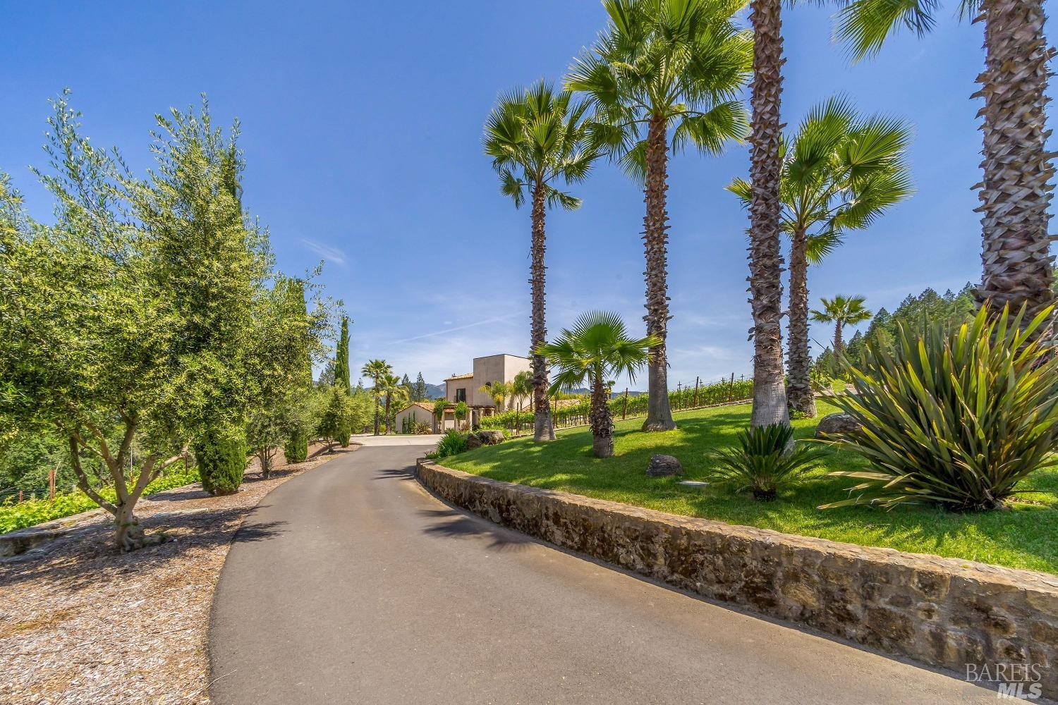 Modern European Vineyard Estate