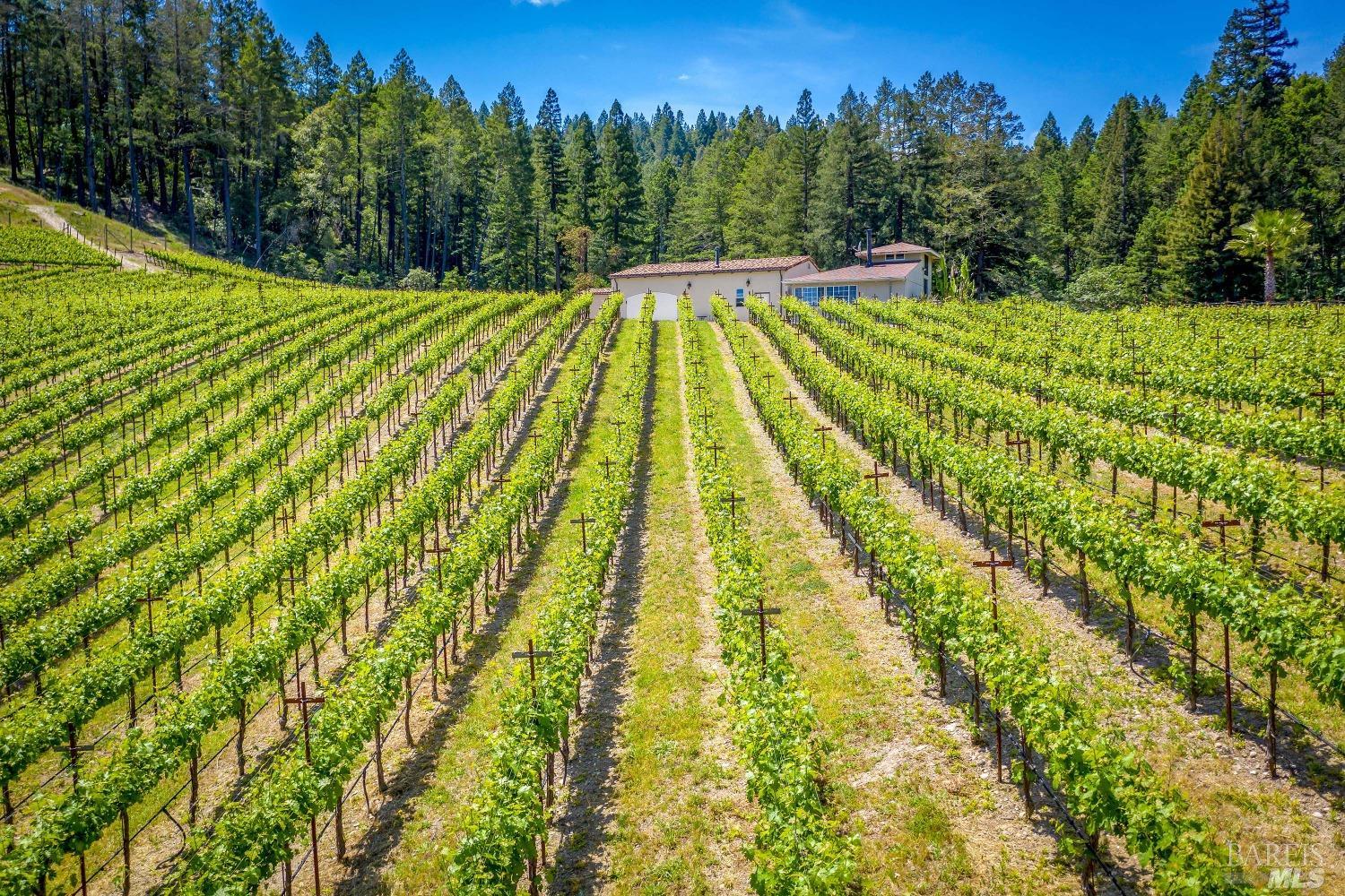 Modern European Vineyard Estate