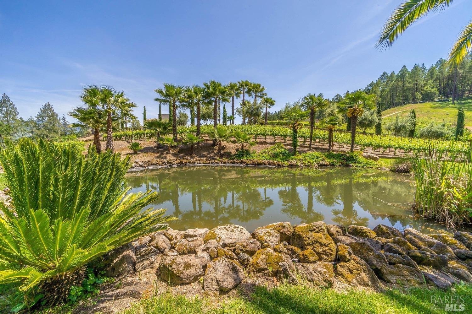 Modern European Vineyard Estate