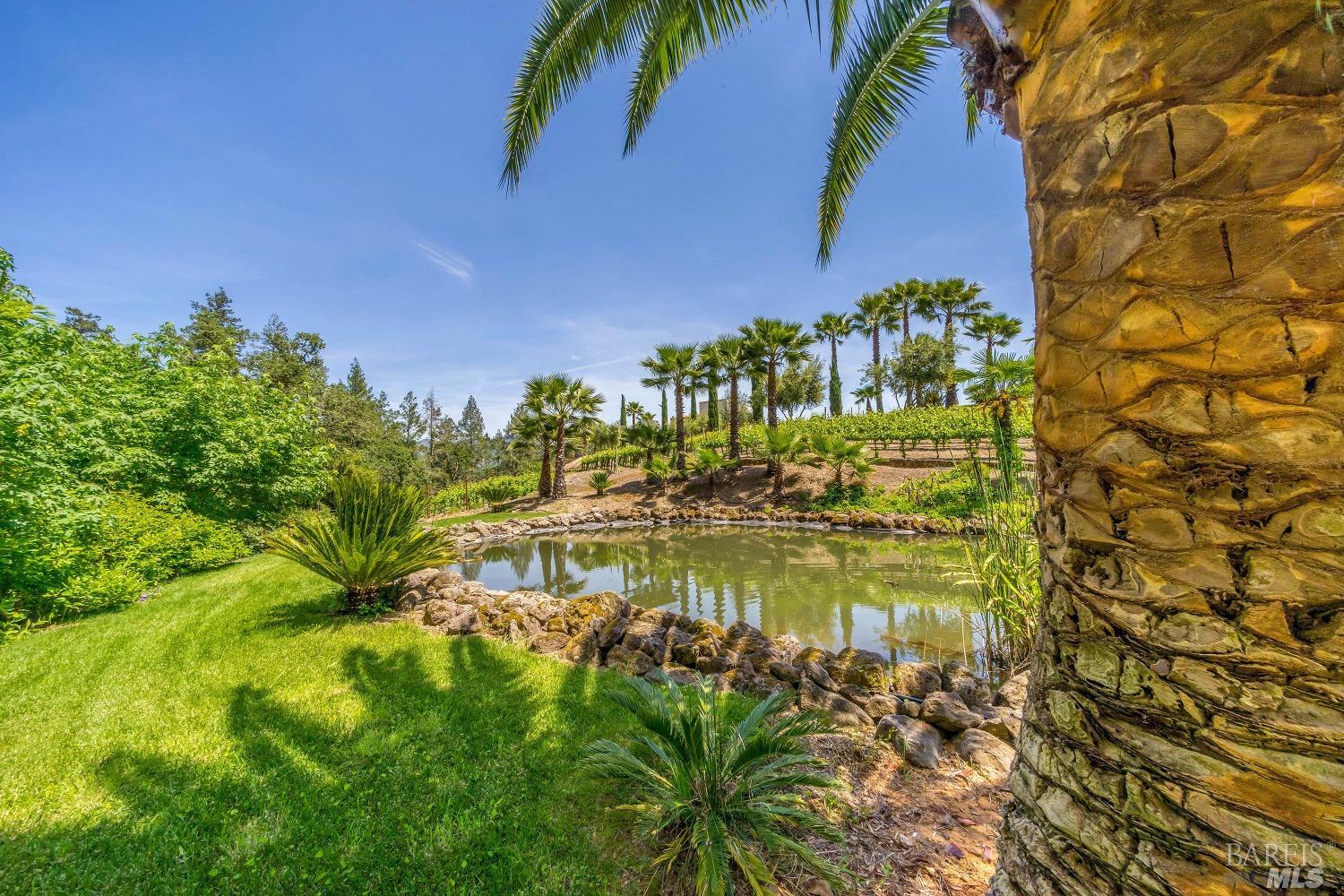 Modern European Vineyard Estate