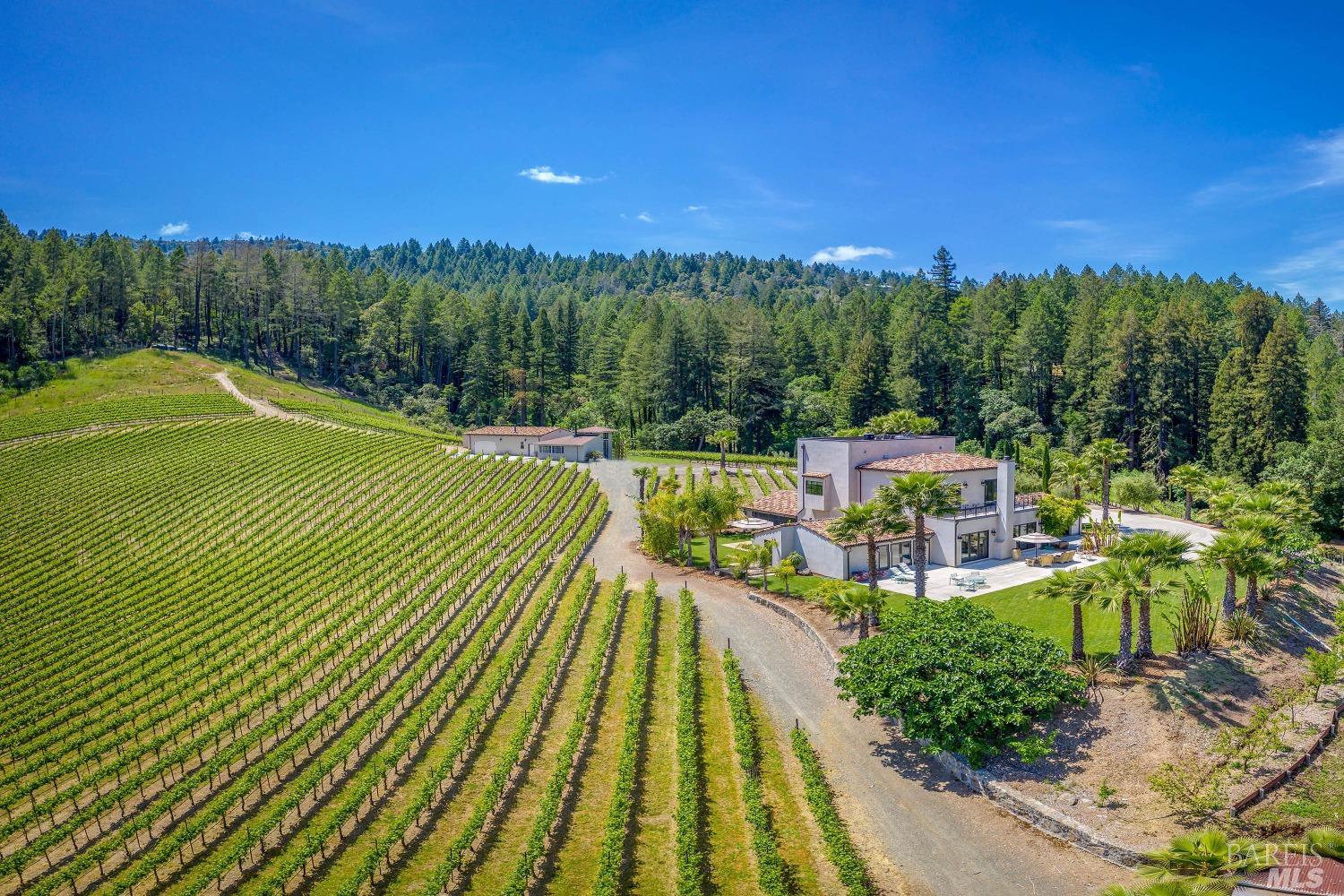 Modern European Vineyard Estate