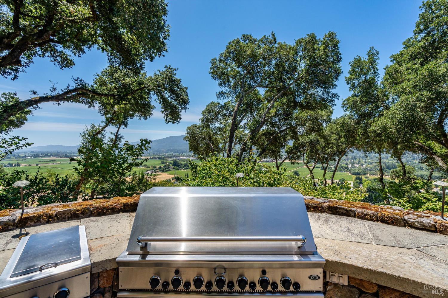 Exquisite St. Helena Provencal-Style Estate
