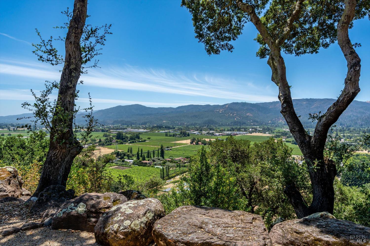 Exquisite St. Helena Provencal-Style Estate