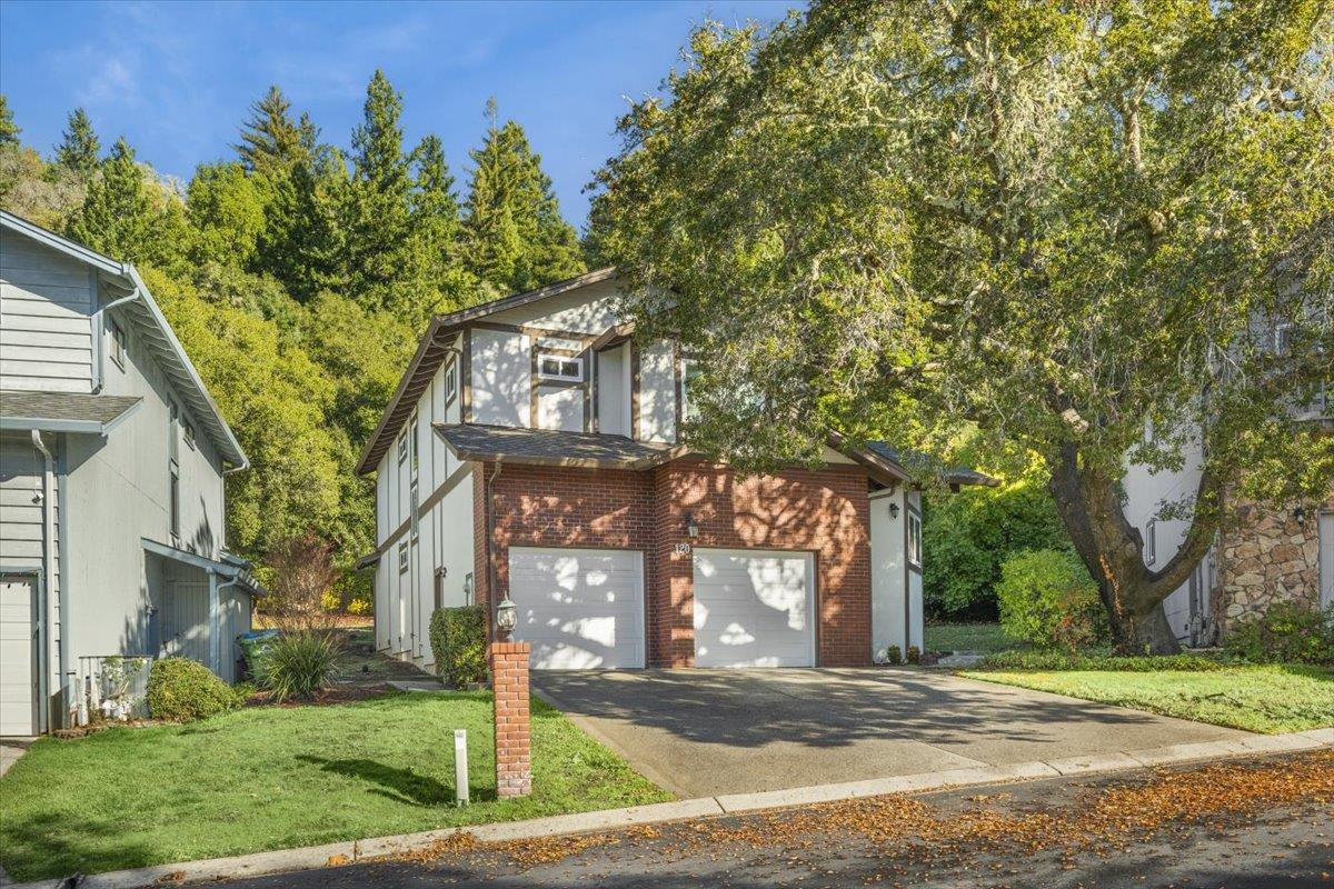 120 Viki CT