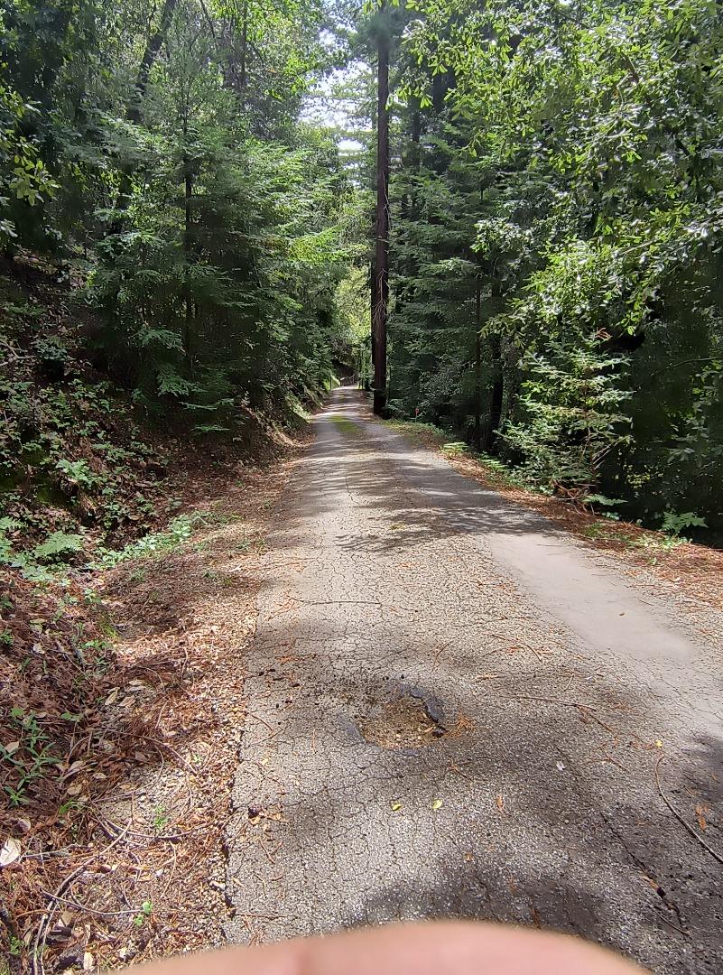 1380 Amaya Ridge Road