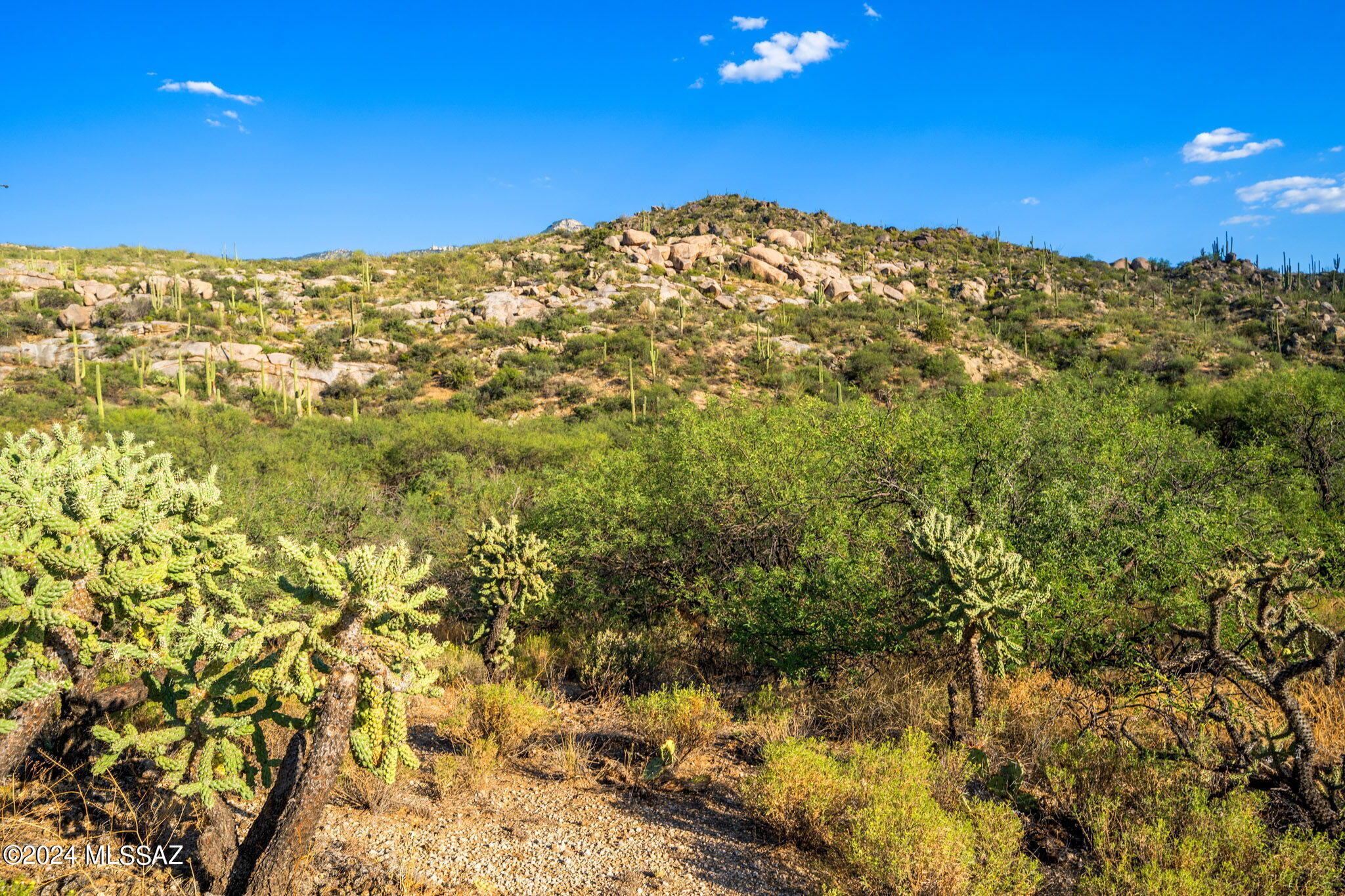 16500 N Ridge Rock Trail