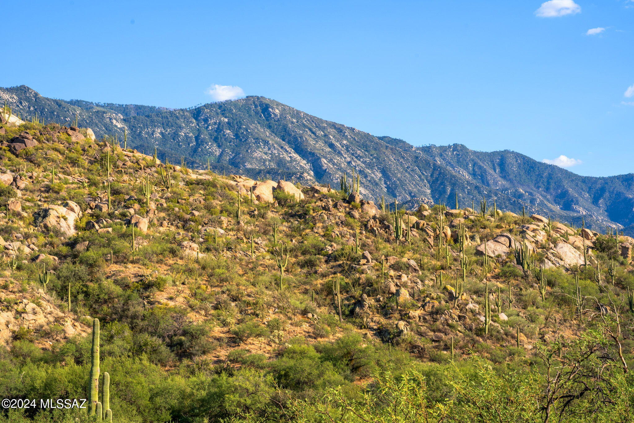 16500 N Ridge Rock Trail