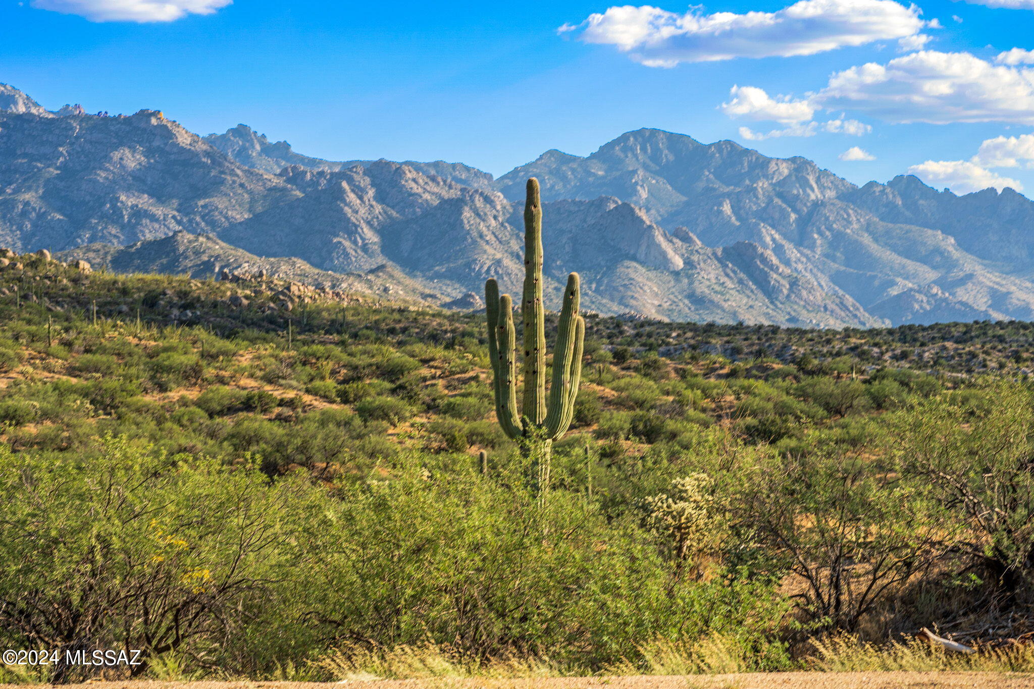 16500 N Ridge Rock Trail