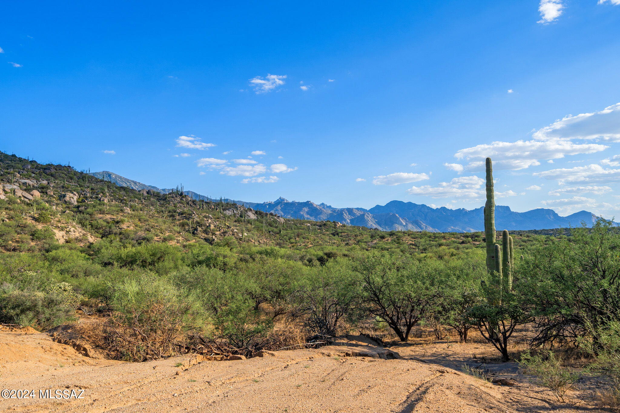 16500 N Ridge Rock Trail