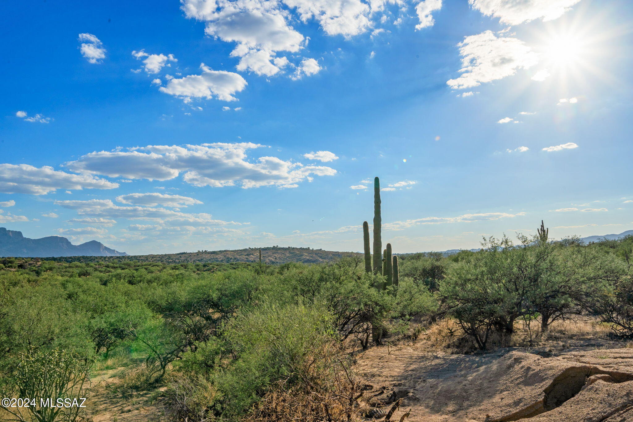 16500 N Ridge Rock Trail