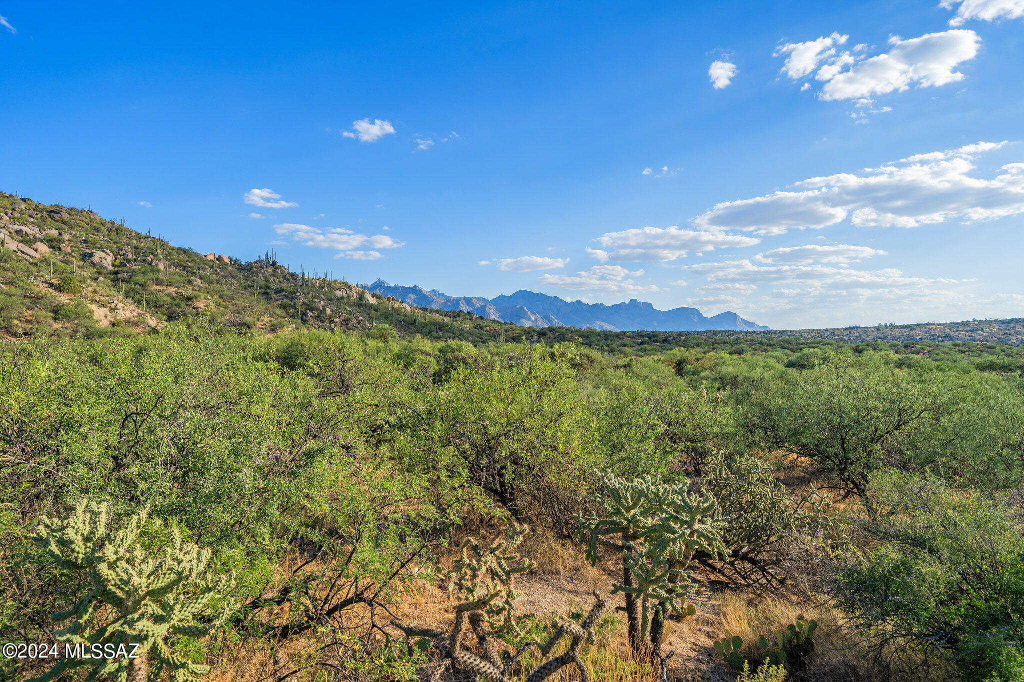 16500 N Ridge Rock Trail