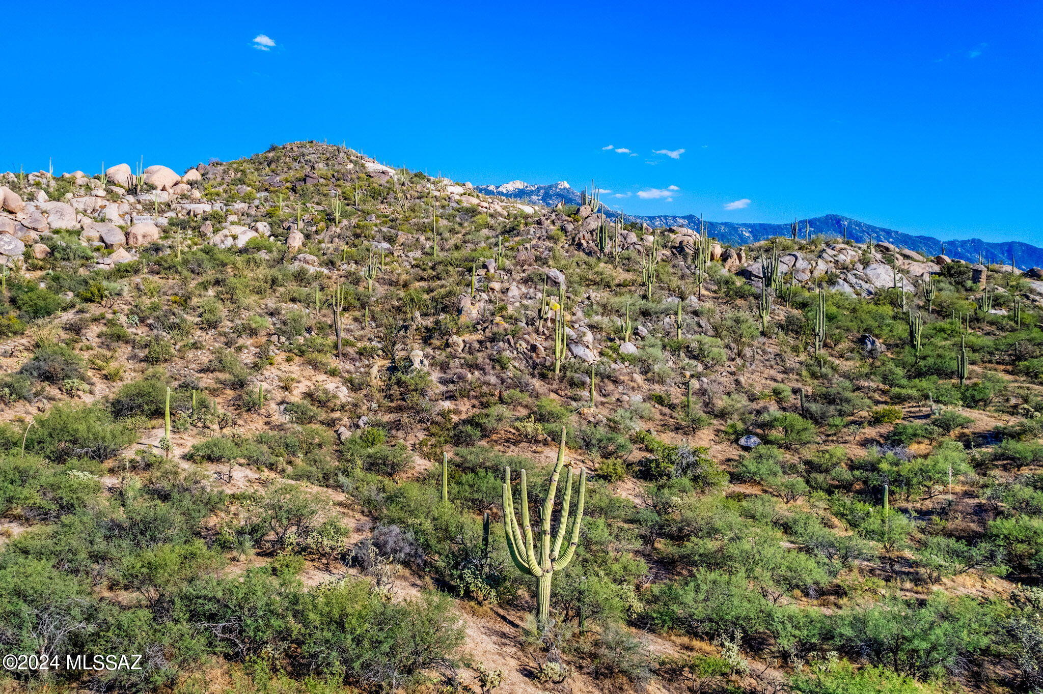16500 N Ridge Rock Trail