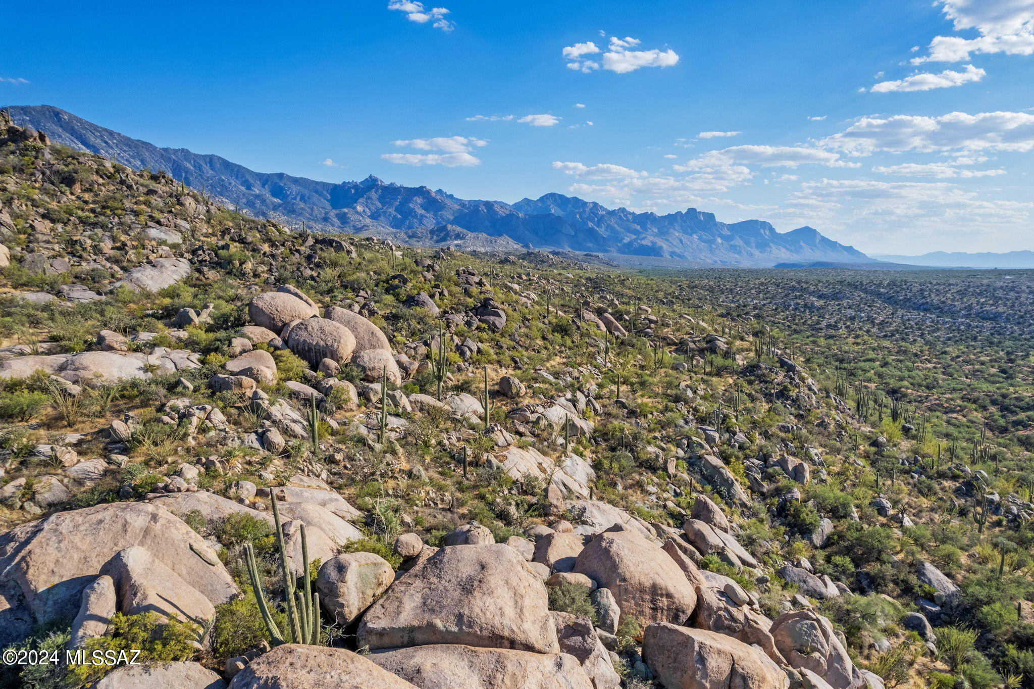 16500 N Ridge Rock Trail