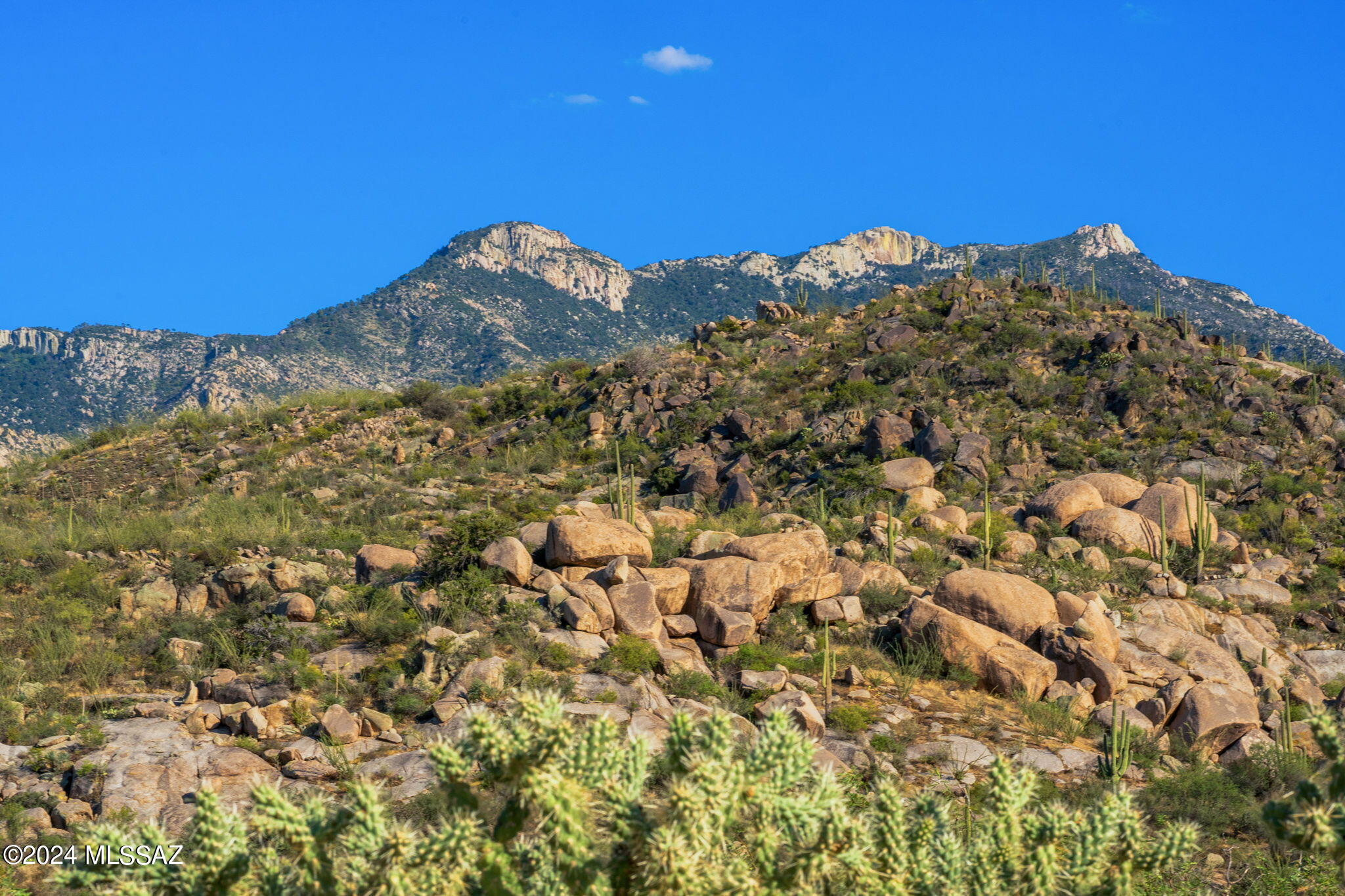 16500 N Ridge Rock Trail
