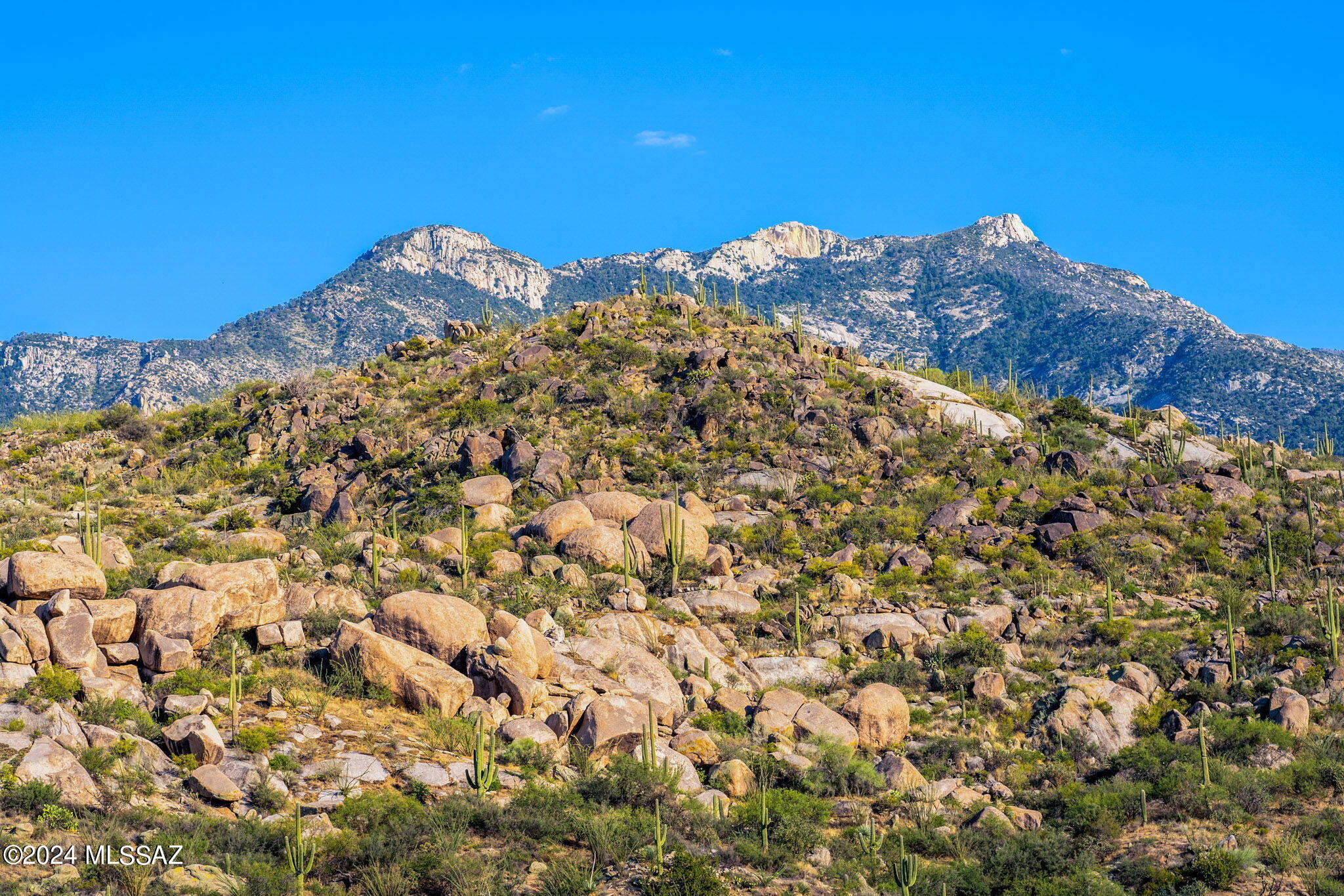 16500 N Ridge Rock Trail