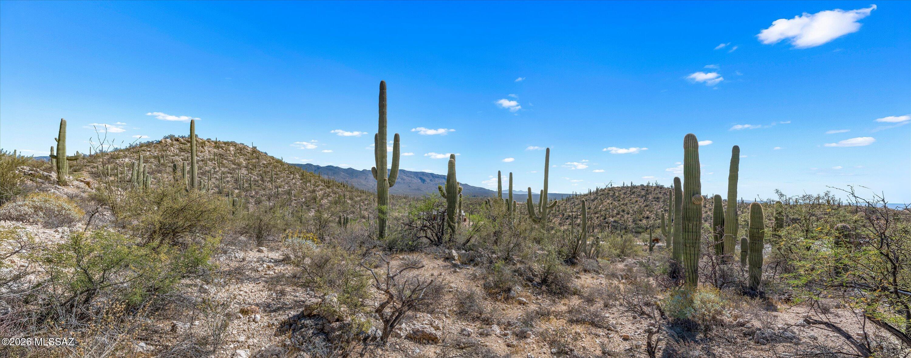 13716 E Placita Del Inca Unit: 8