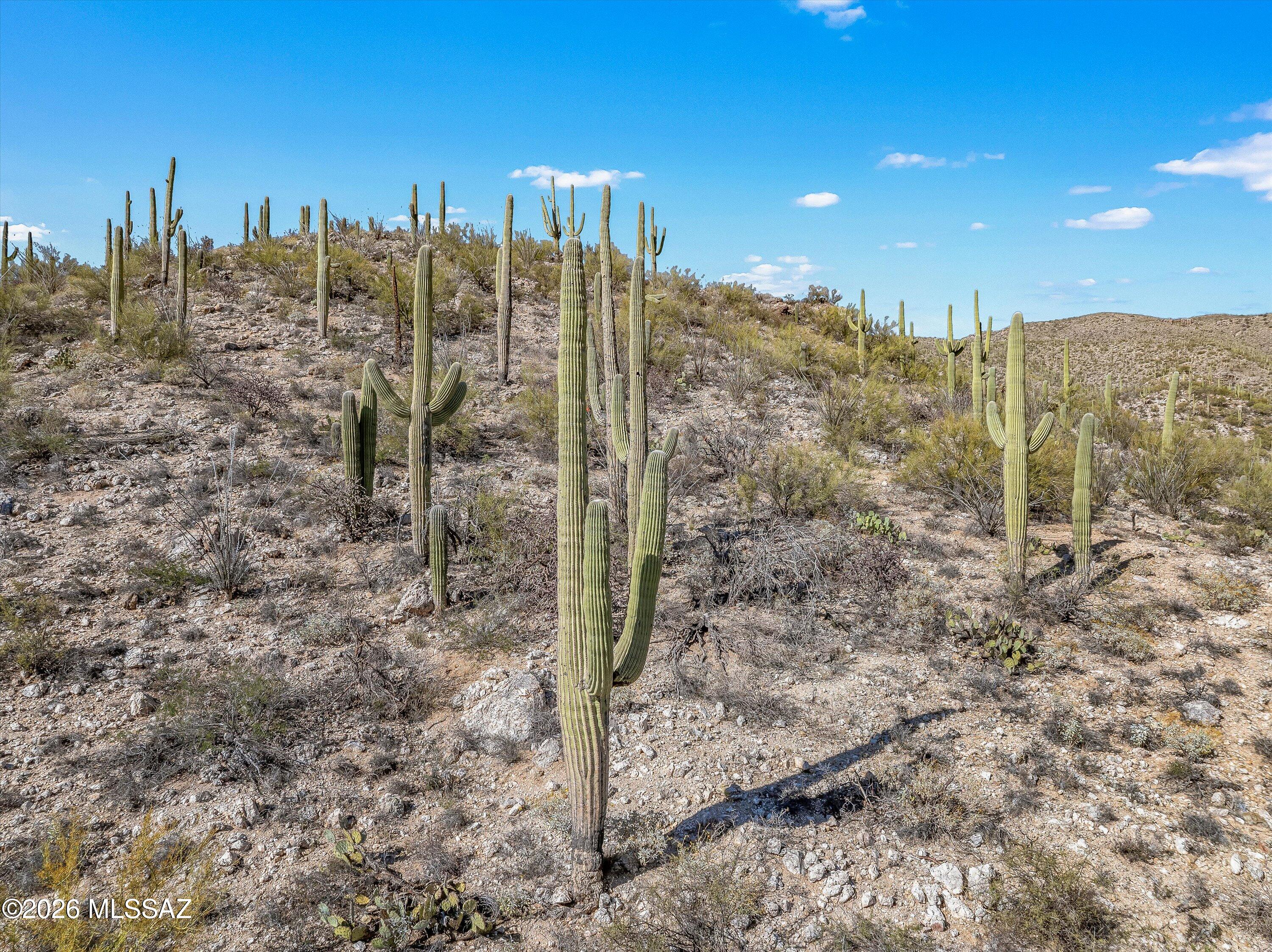 13716 E Placita Del Inca Unit: 8