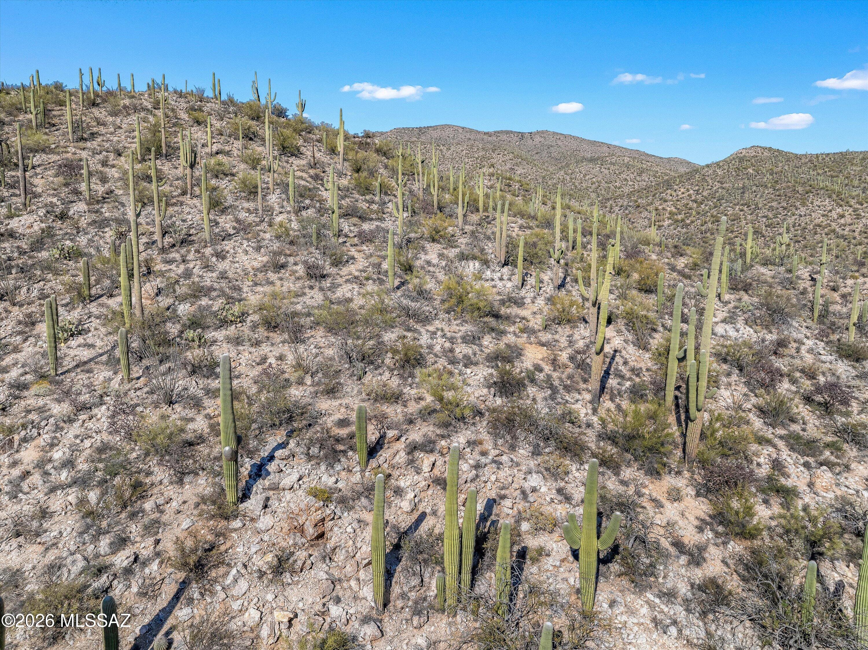 13716 E Placita Del Inca Unit: 8