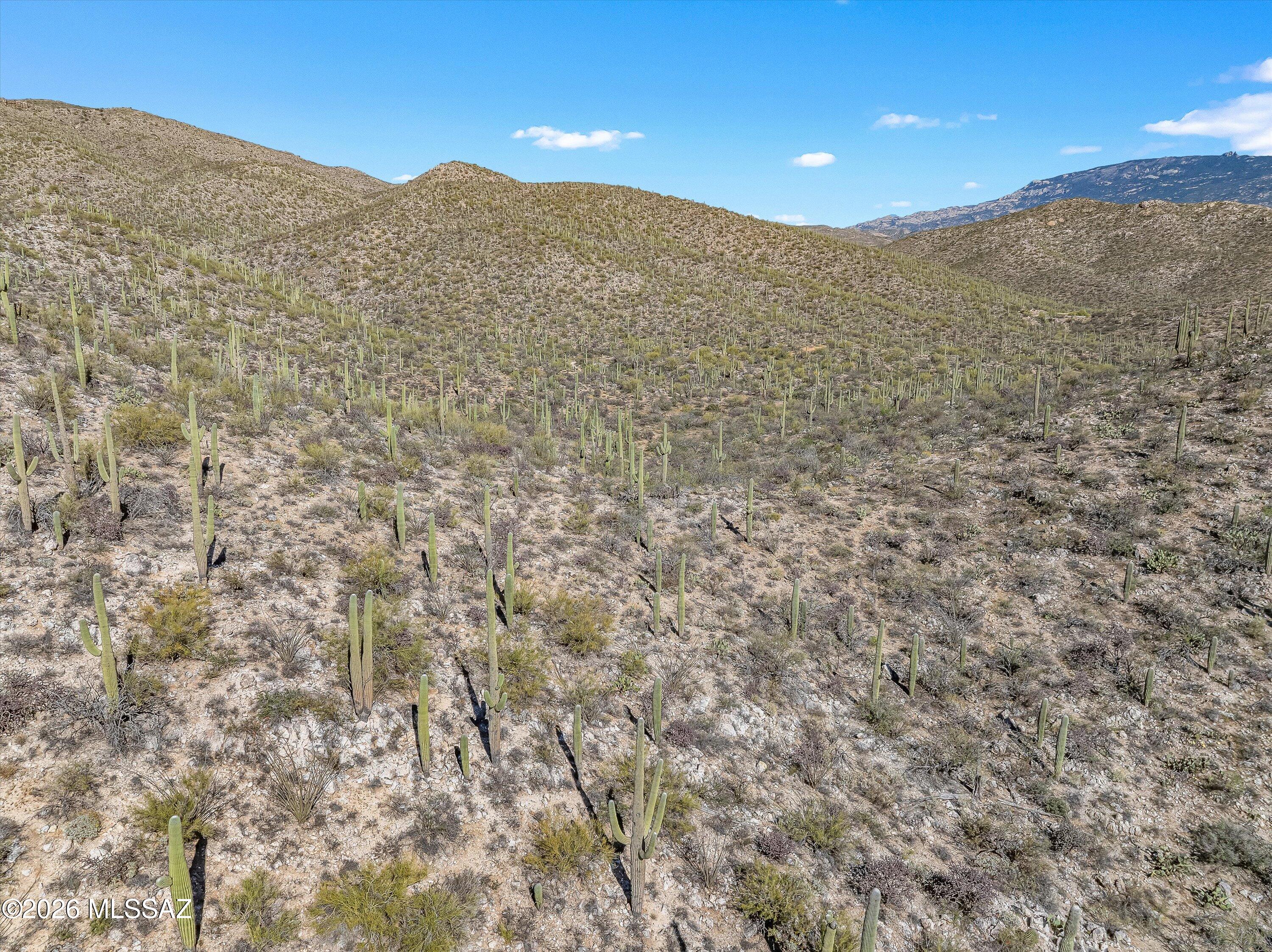 13716 E Placita Del Inca Unit: 8