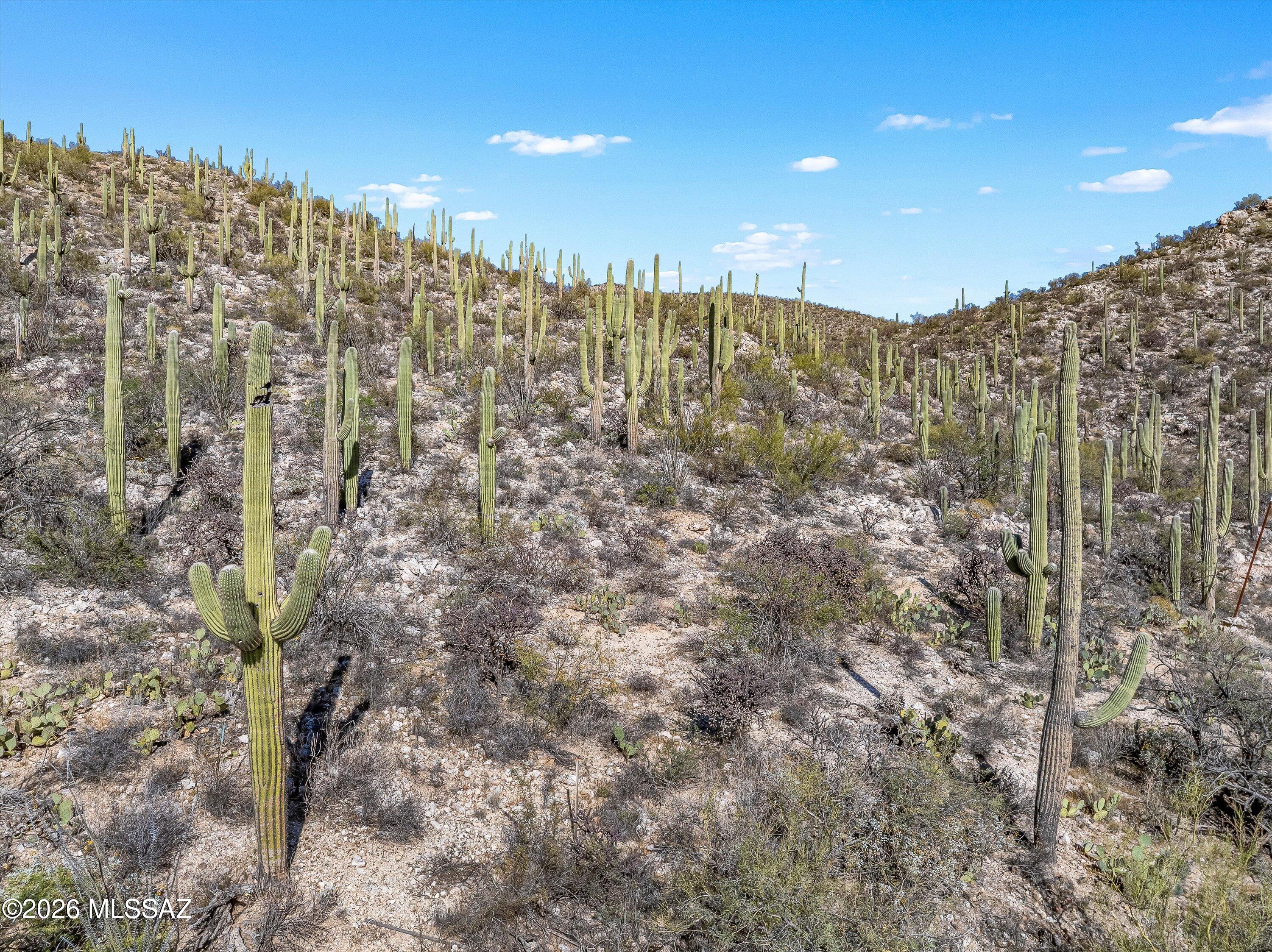 13716 E Placita Del Inca Unit: 8