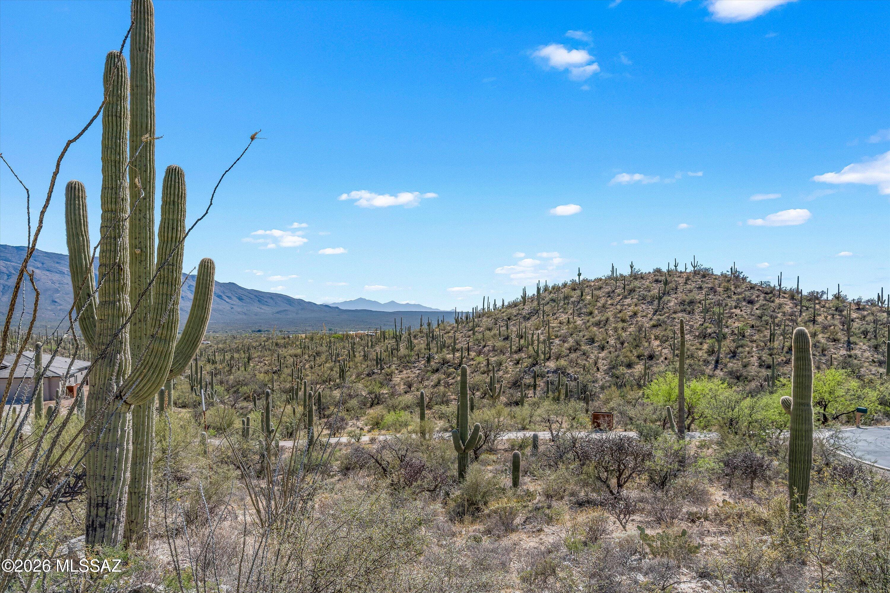 13716 E Placita Del Inca Unit: 8