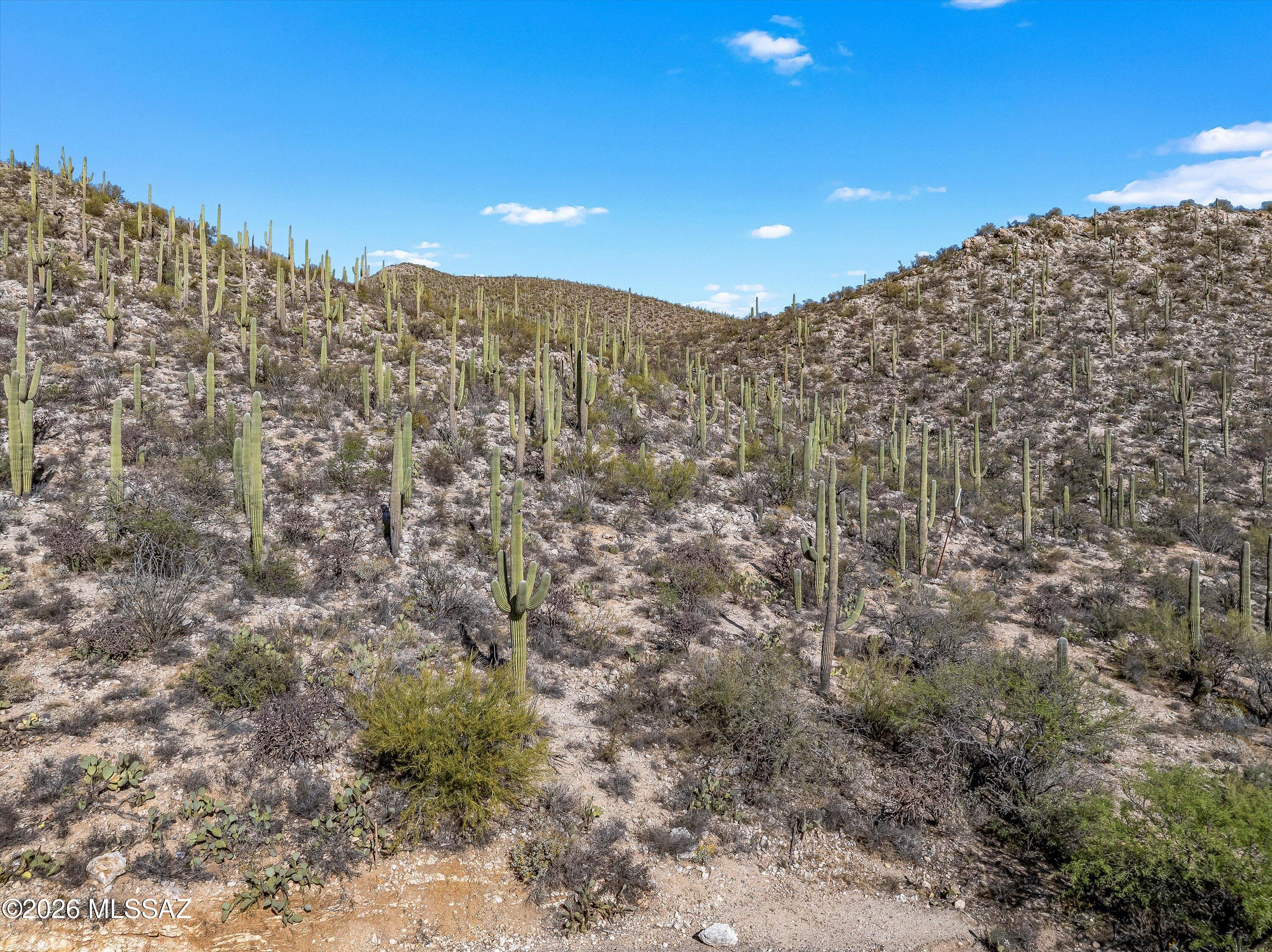 13716 E Placita Del Inca Unit: 8