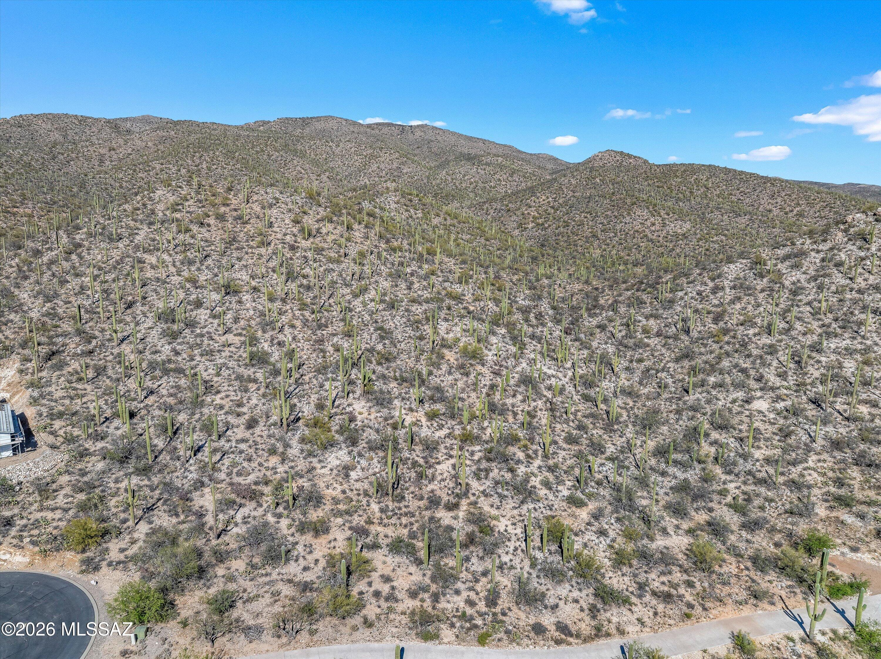 13716 E Placita Del Inca Unit: 8