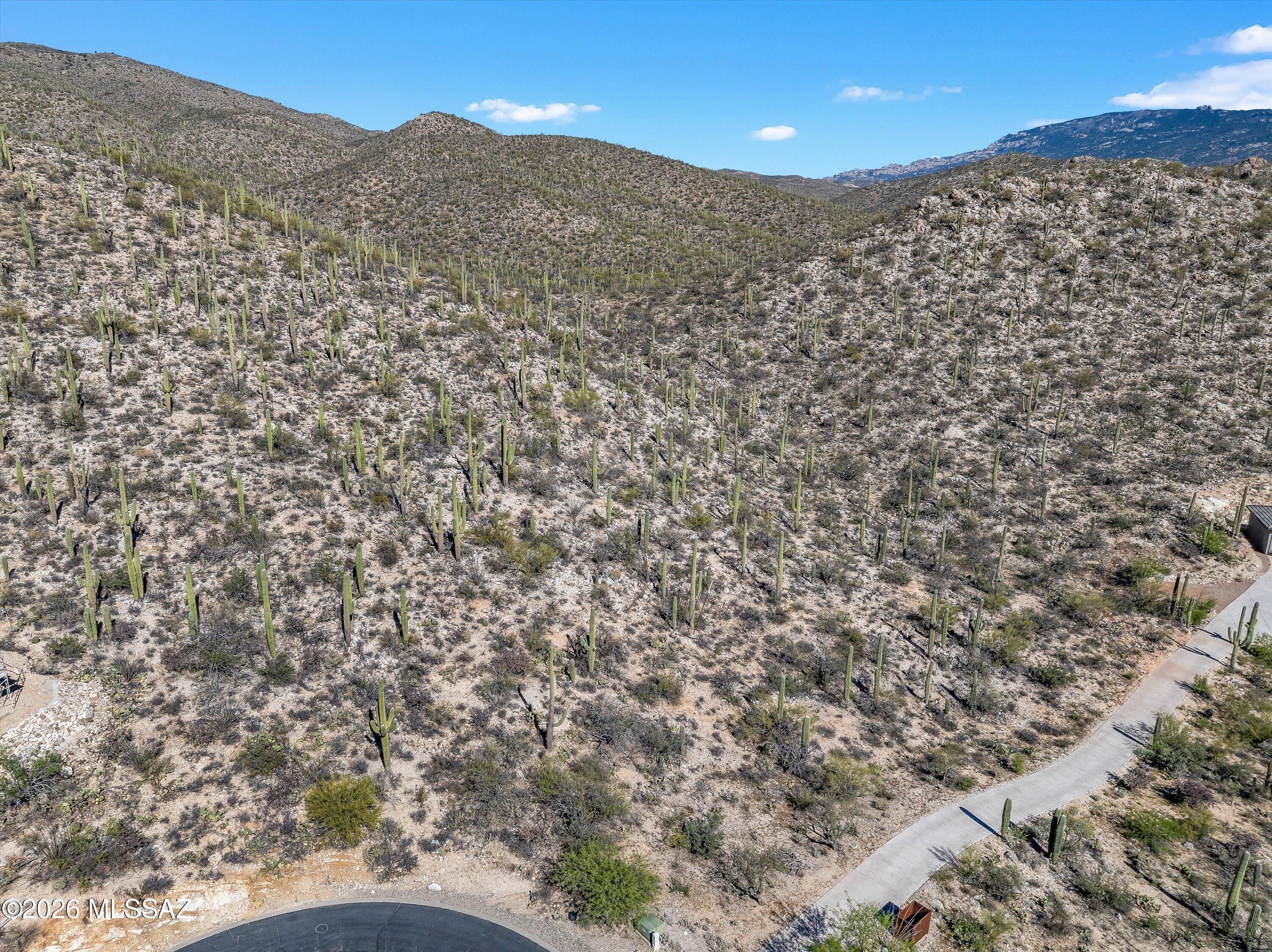 13716 E Placita Del Inca Unit: 8