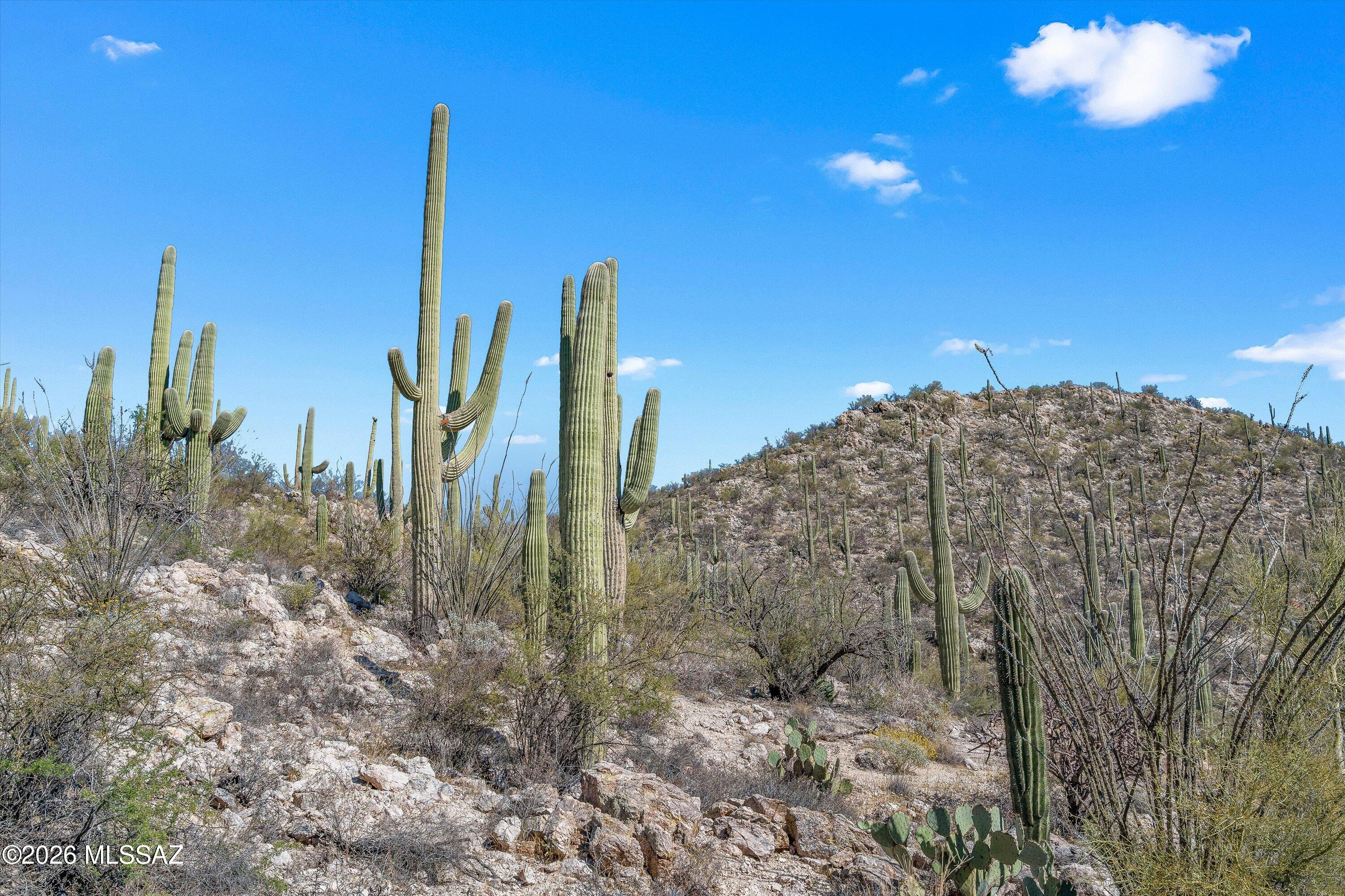 13716 E Placita Del Inca Unit: 8