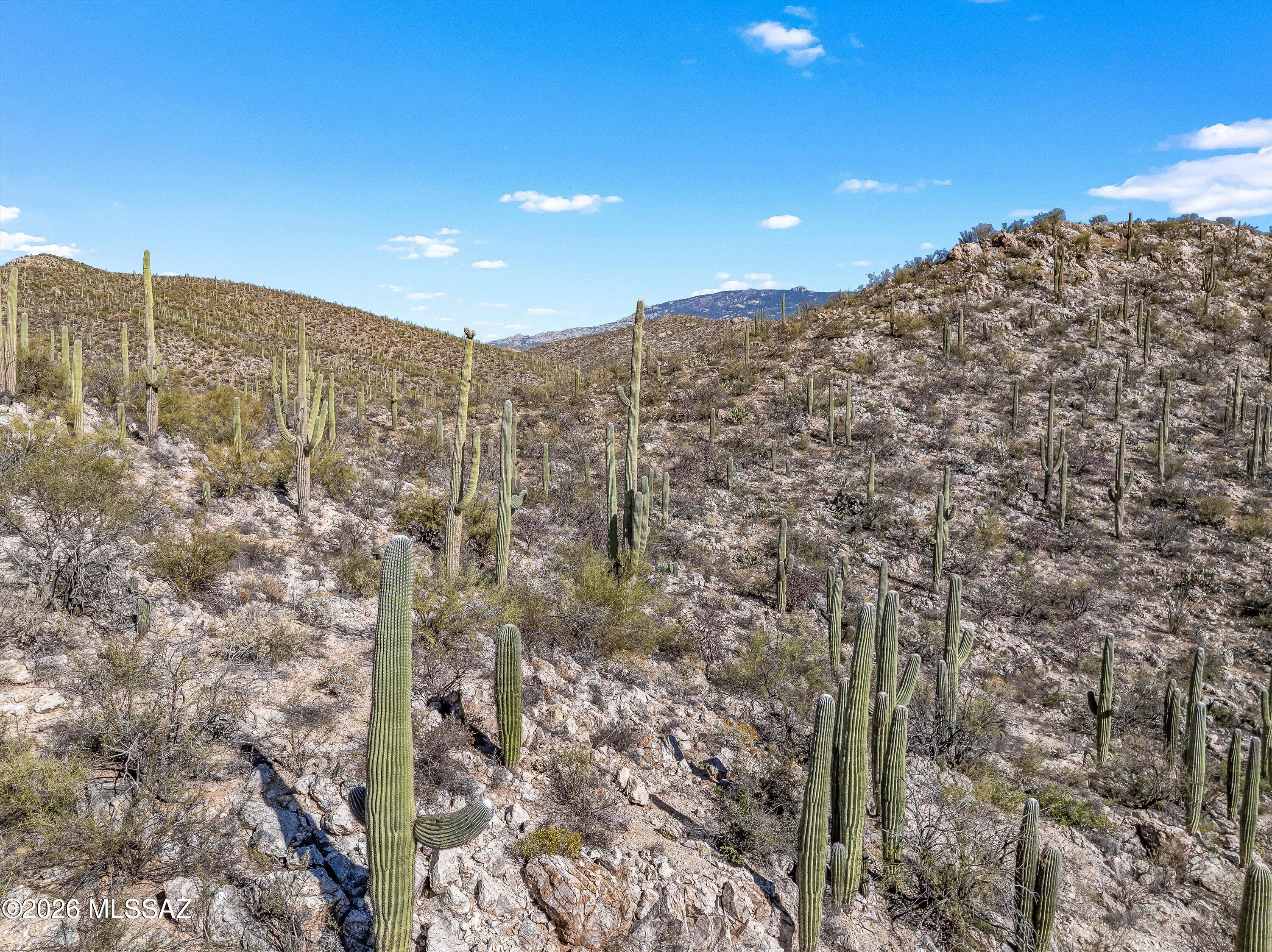 13716 E Placita Del Inca Unit: 8