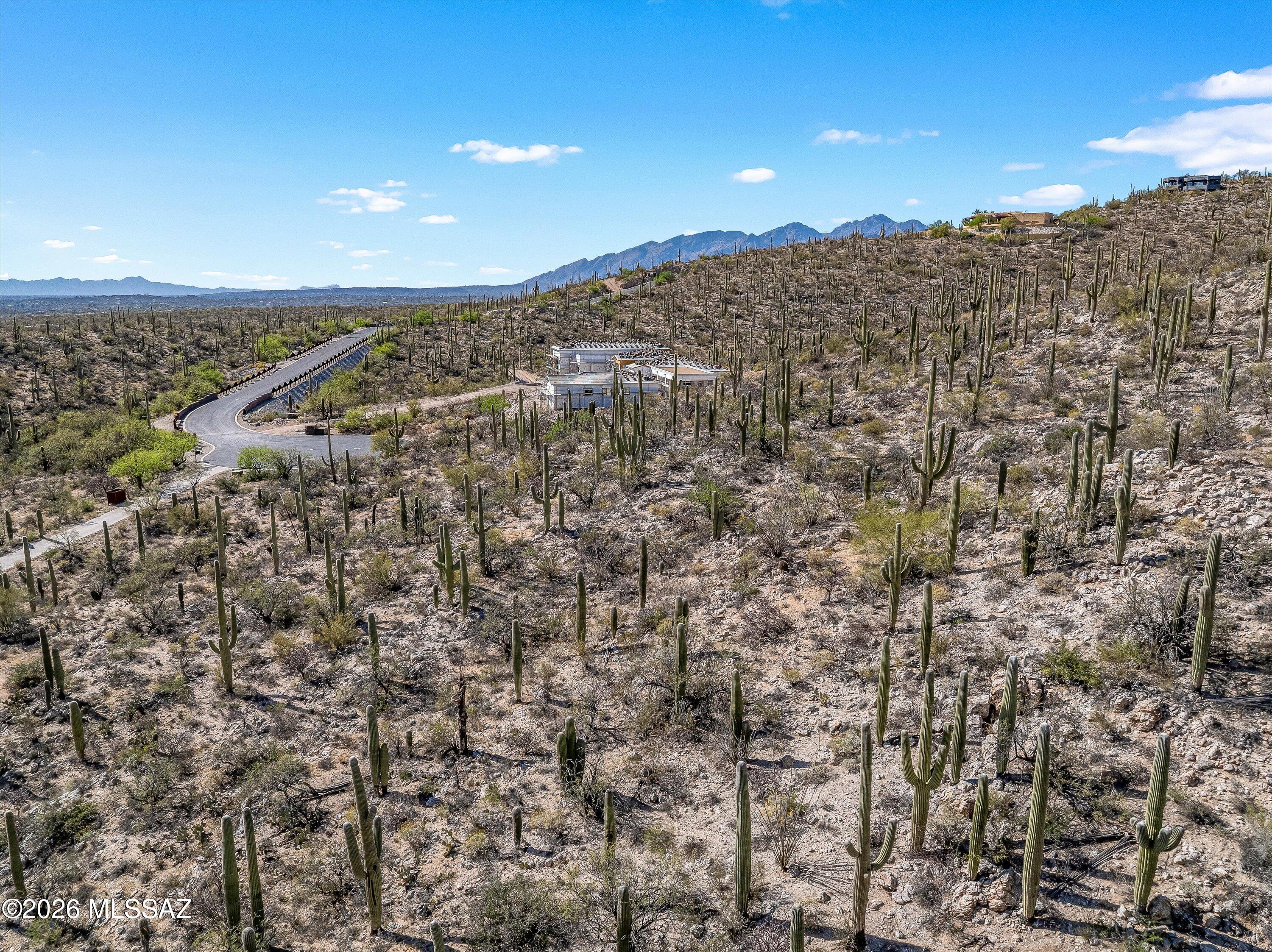 13716 E Placita Del Inca Unit: 8