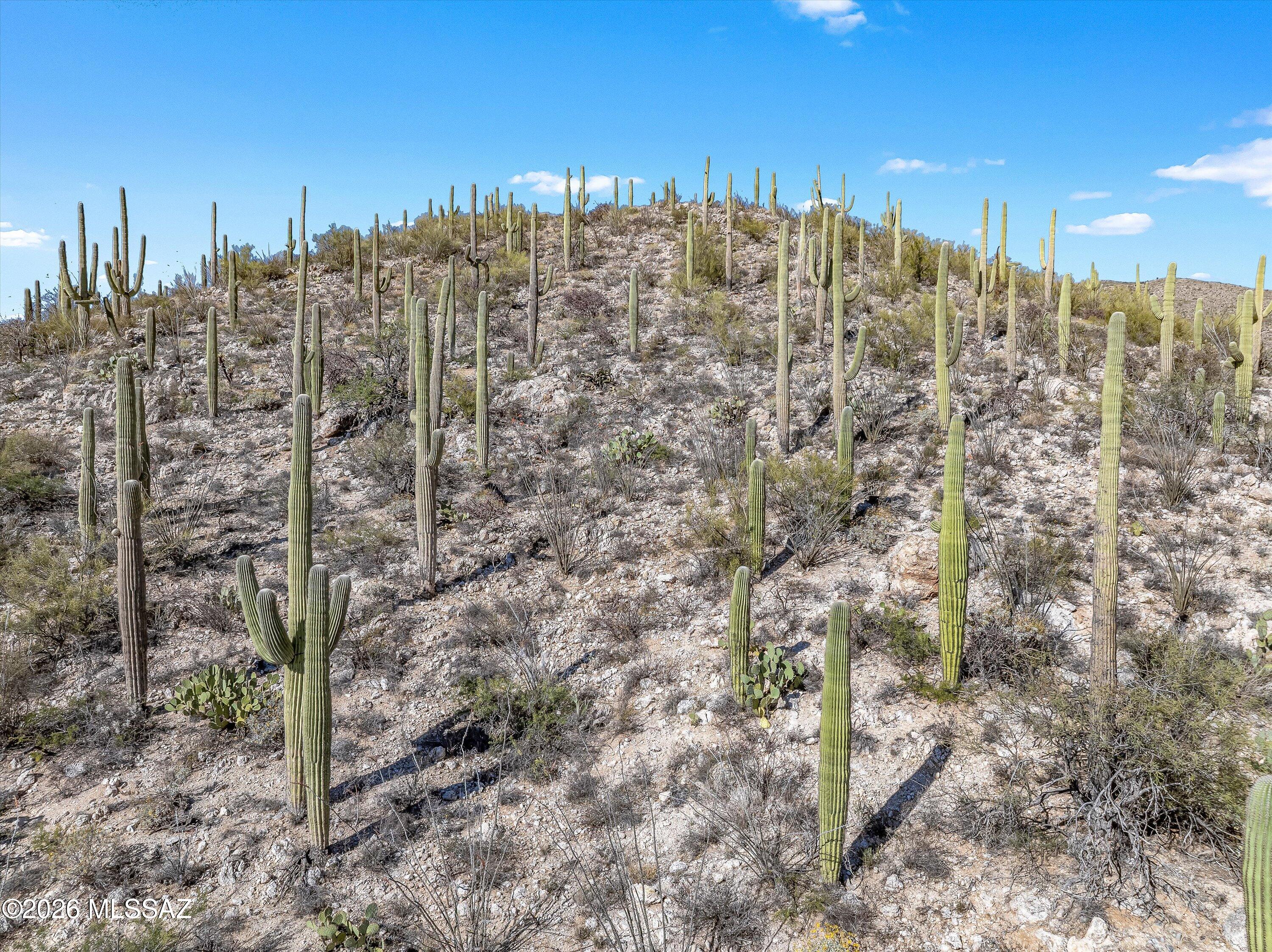 13716 E Placita Del Inca Unit: 8