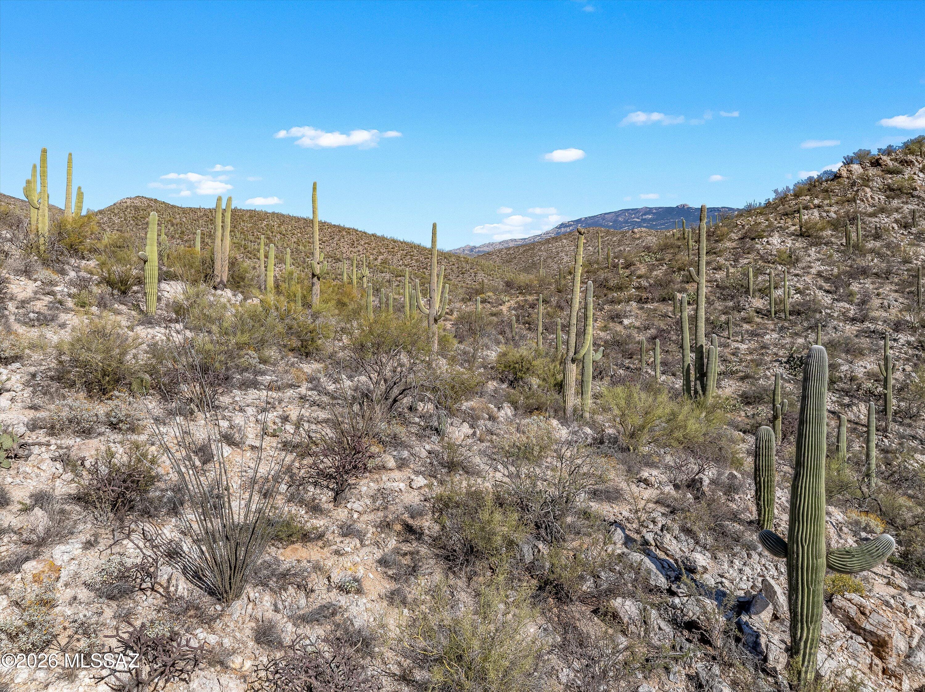 13716 E Placita Del Inca Unit: 8