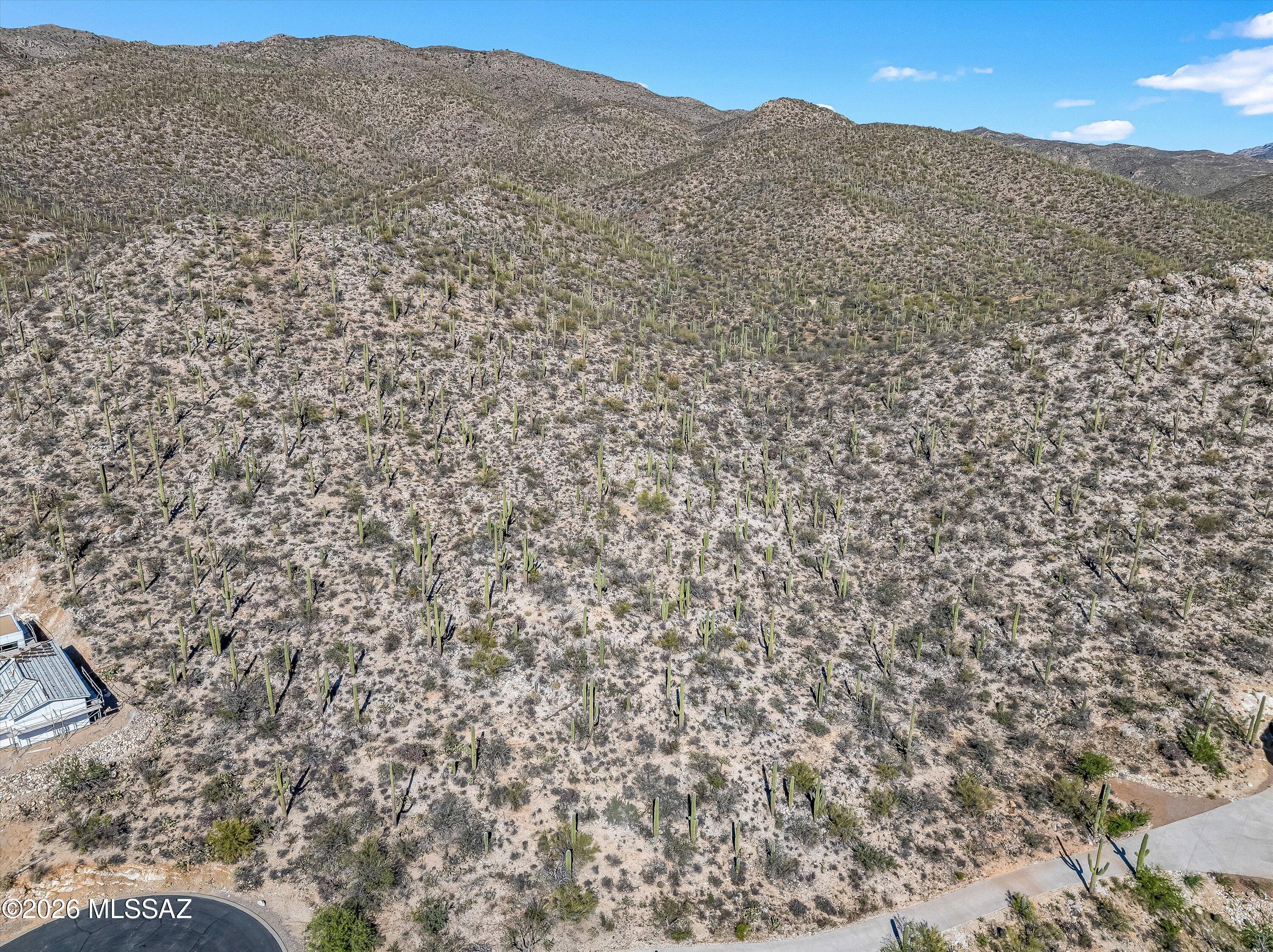 13716 E Placita Del Inca Unit: 8