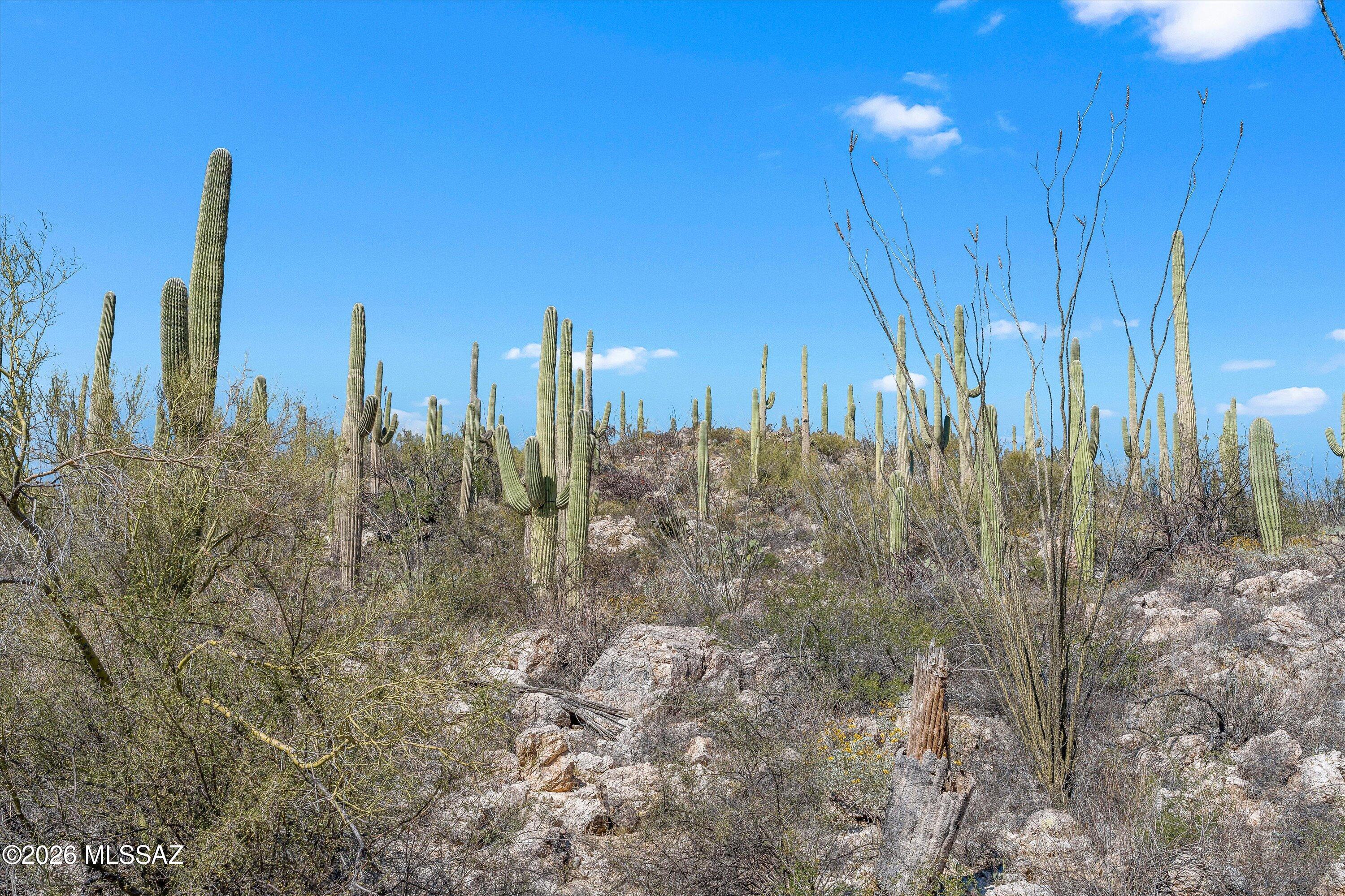 13716 E Placita Del Inca Unit: 8