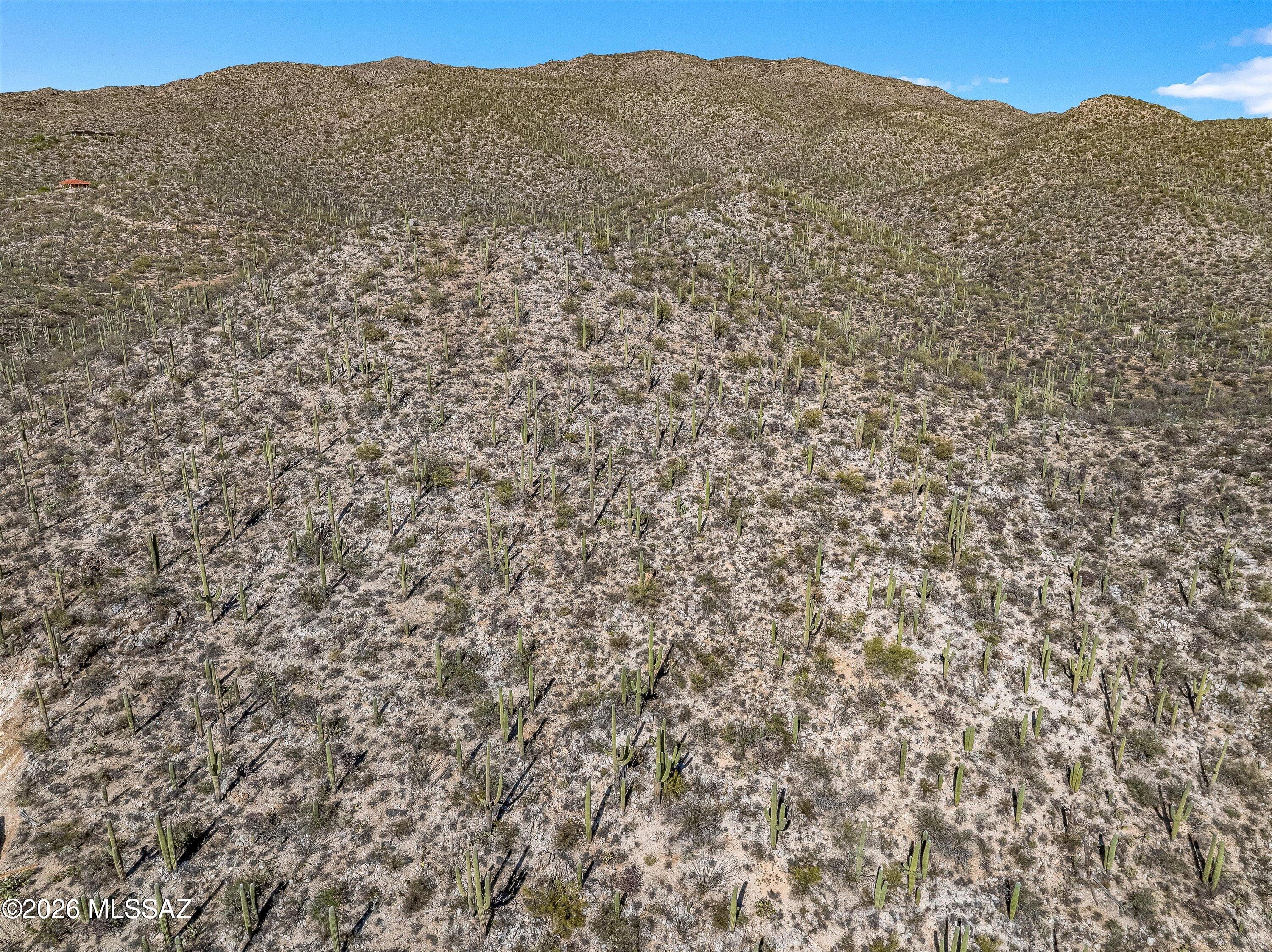 13716 E Placita Del Inca Unit: 8