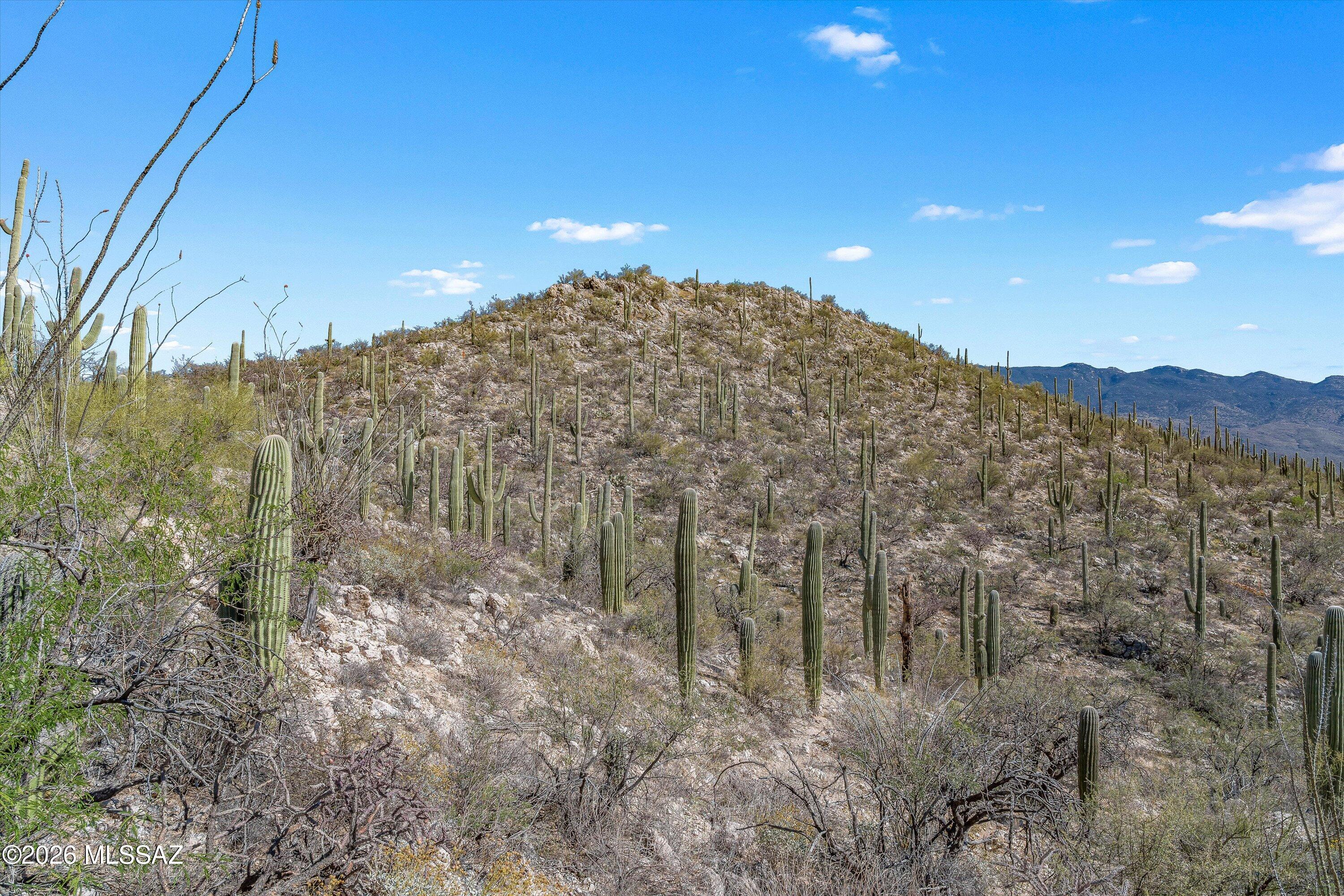 13716 E Placita Del Inca Unit: 8