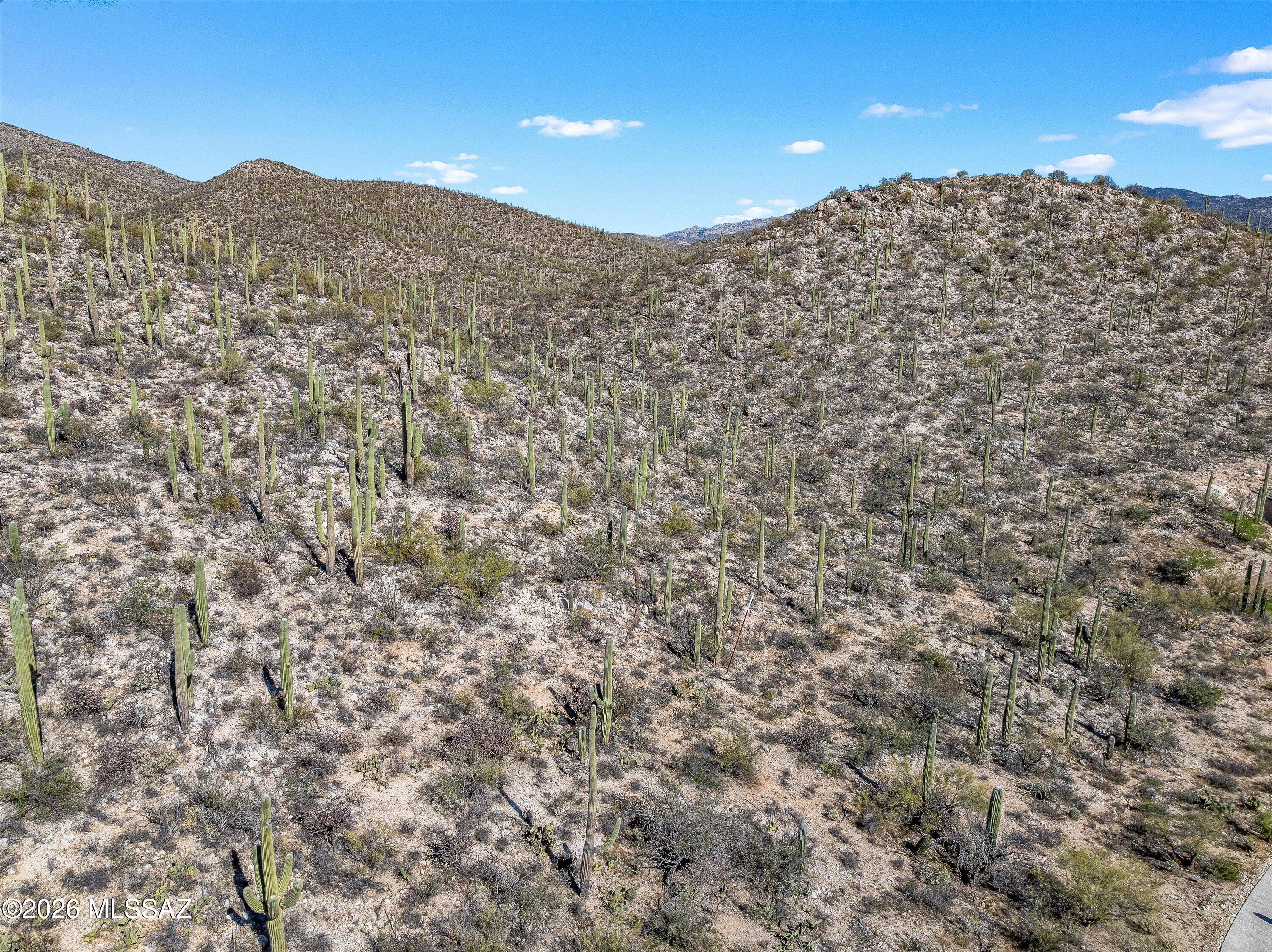 13716 E Placita Del Inca Unit: 8