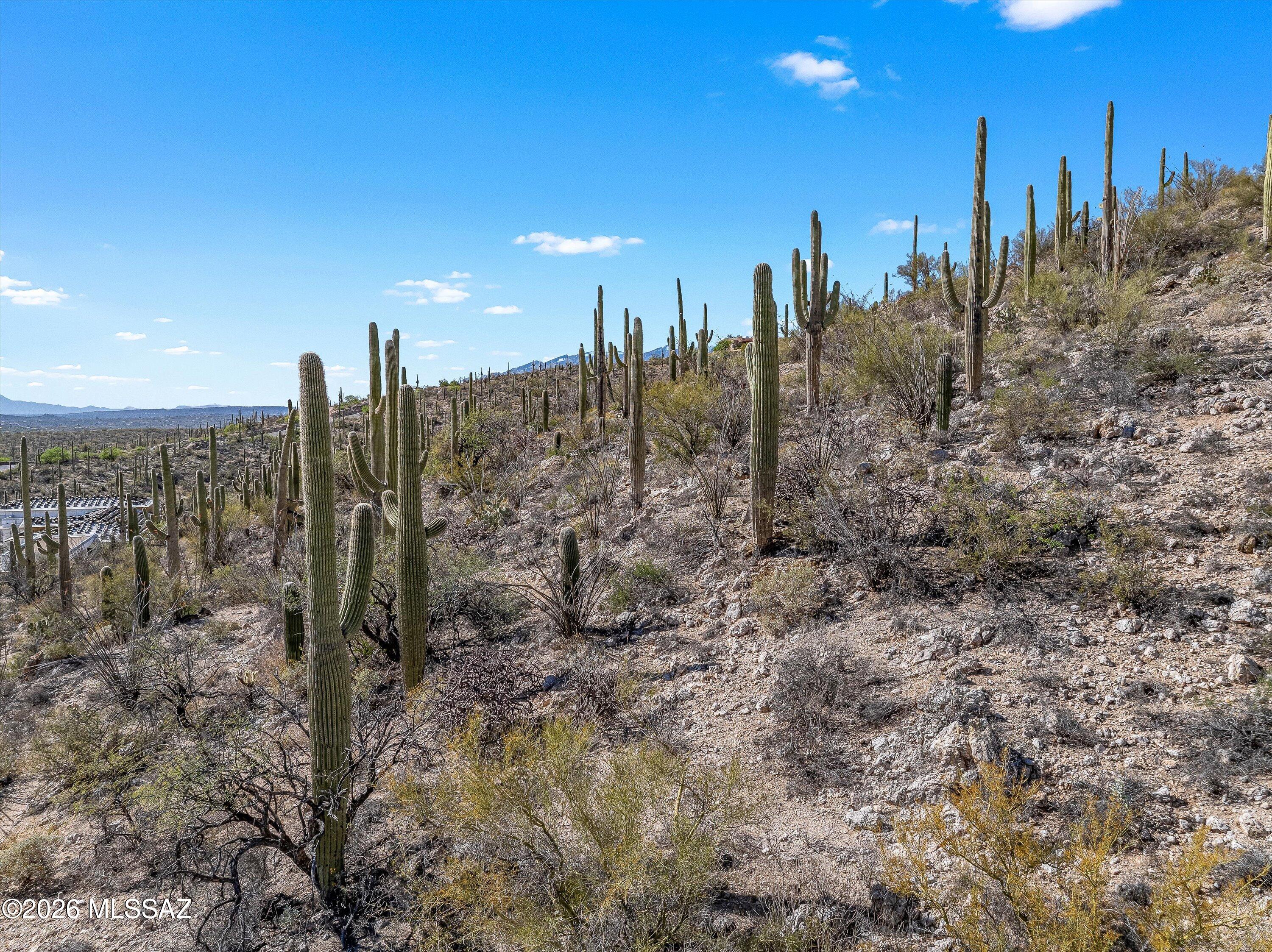 13716 E Placita Del Inca Unit: 8