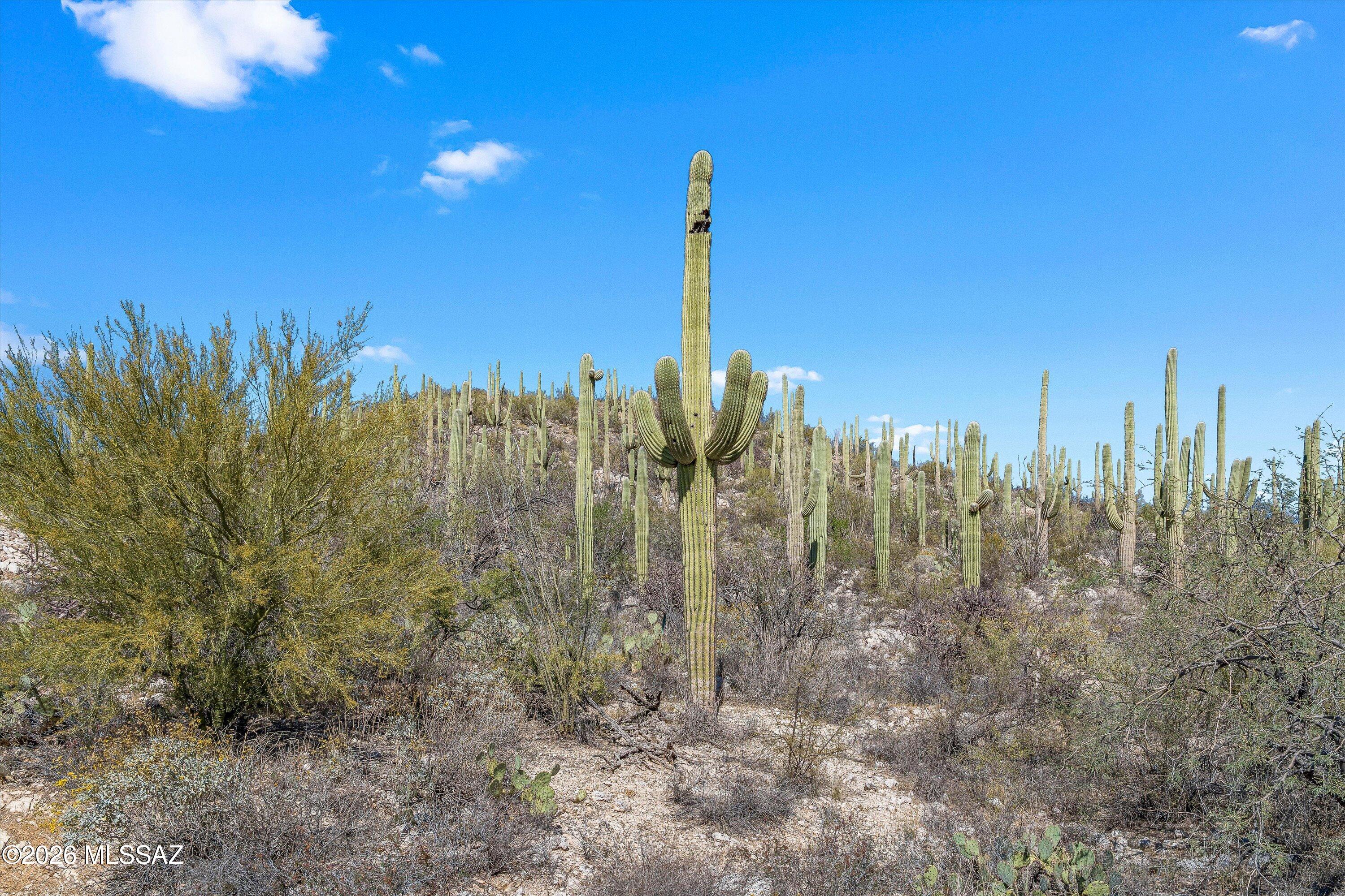 13716 E Placita Del Inca Unit: 8