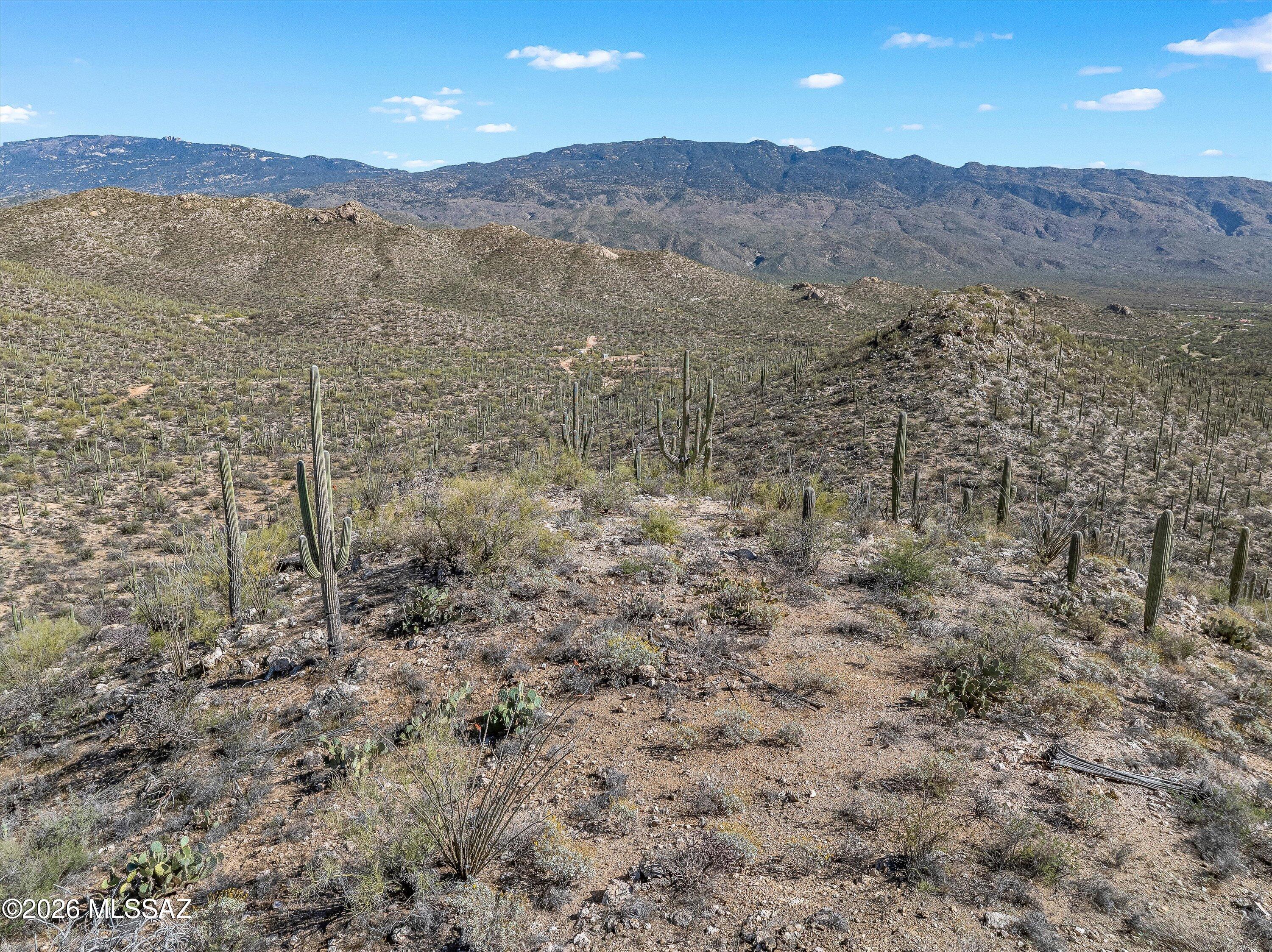 13716 E Placita Del Inca Unit: 8