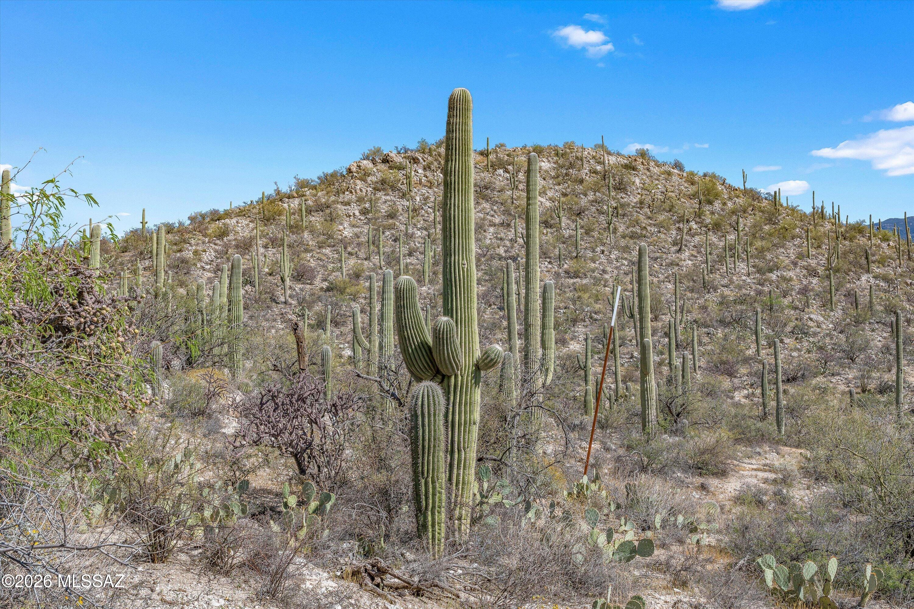 13716 E Placita Del Inca Unit: 8