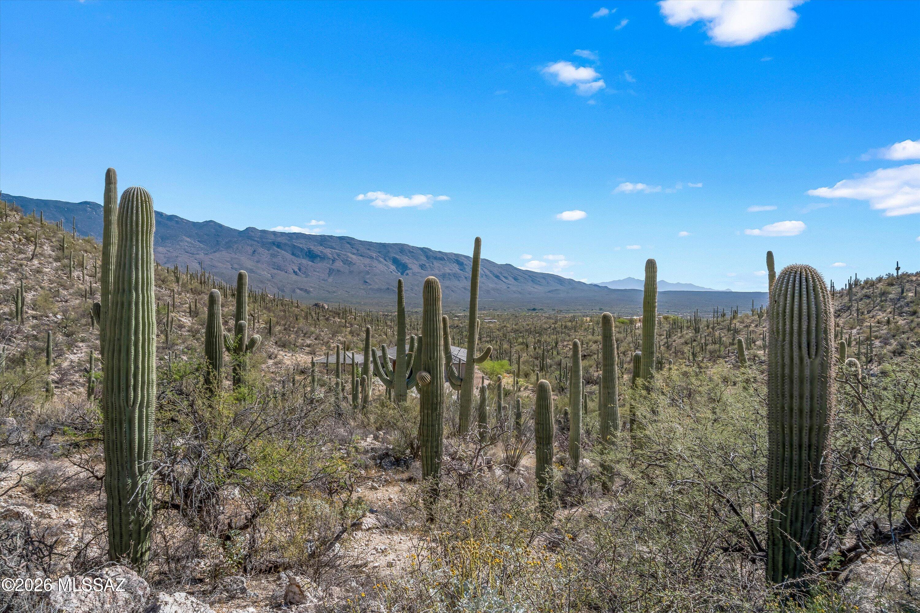 13716 E Placita Del Inca Unit: 8