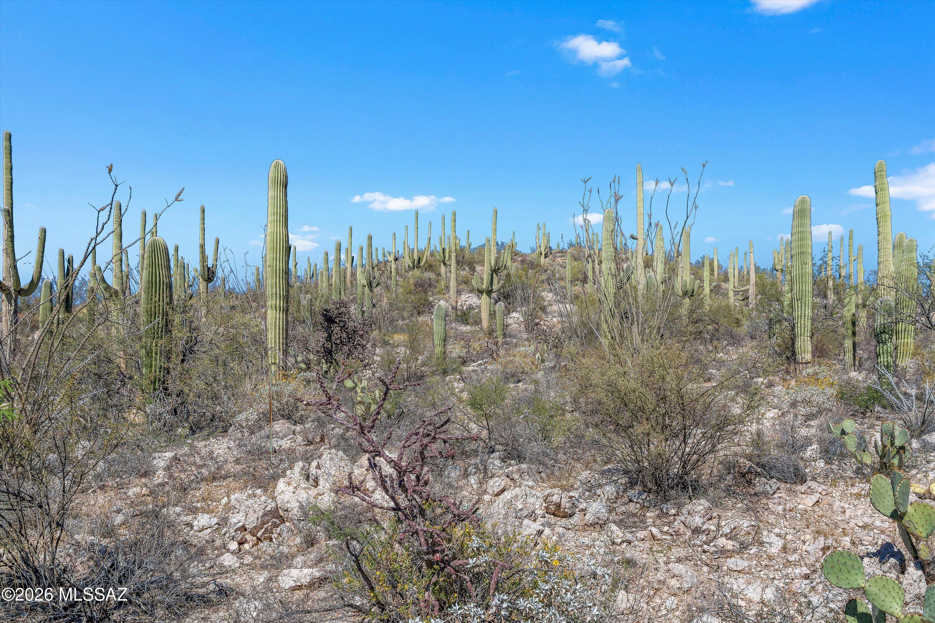 13716 E Placita Del Inca Unit: 8