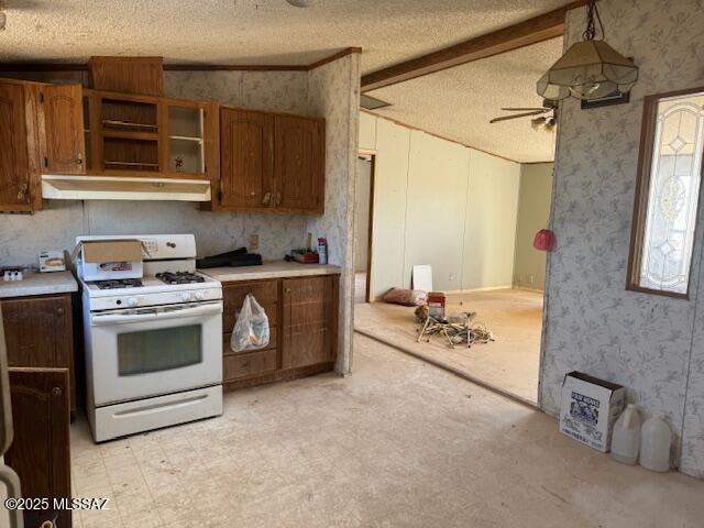 433 E Camino De Pampas