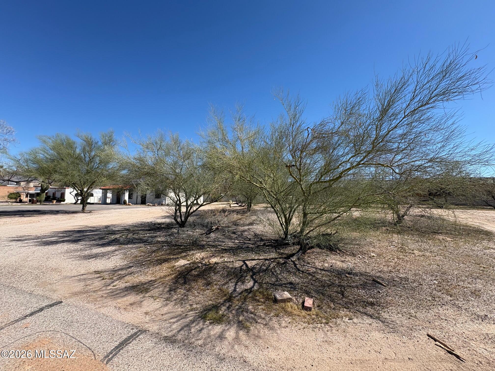 513 W Wetmore Road 9