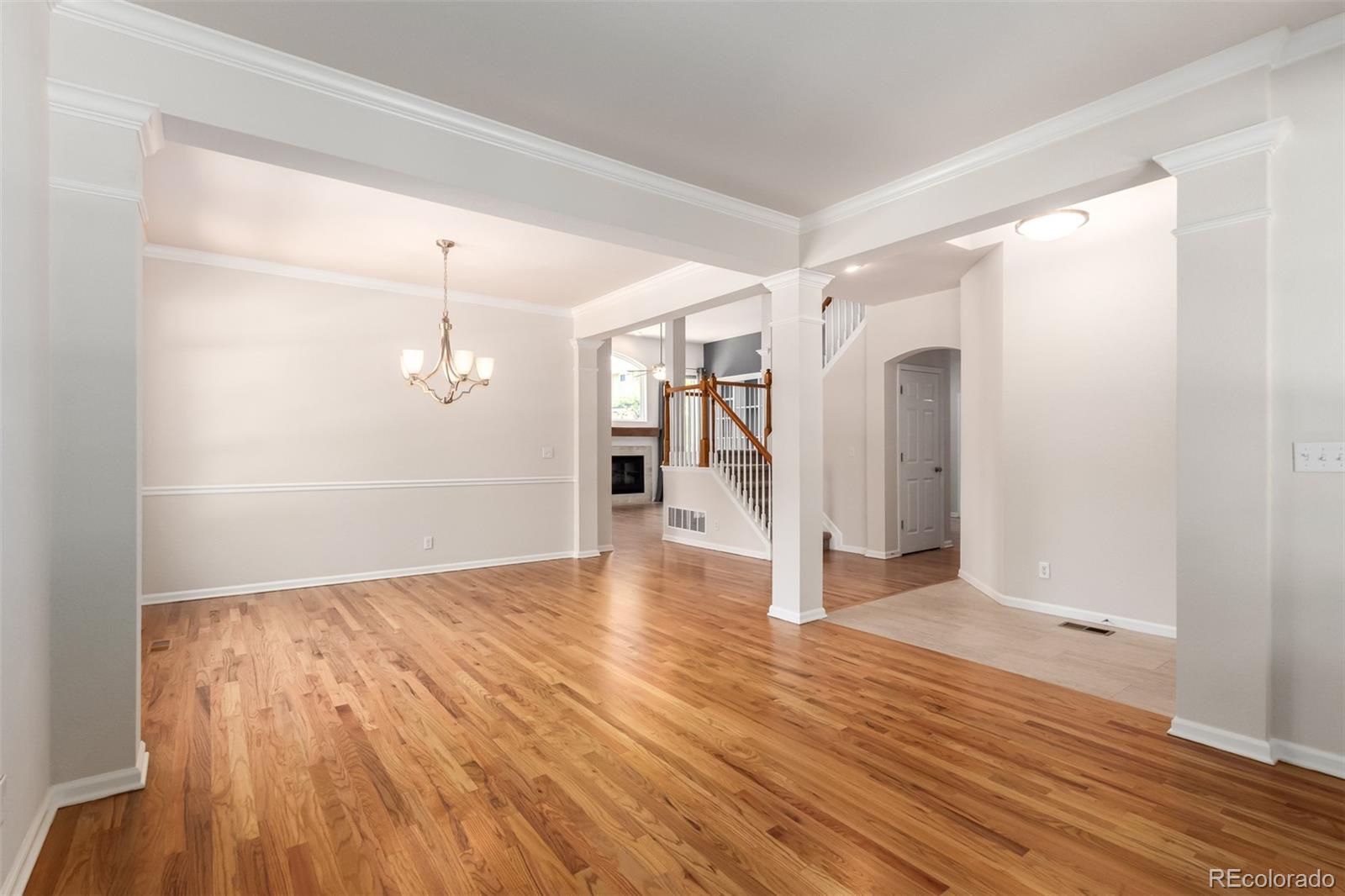 127 Sylvestor Place