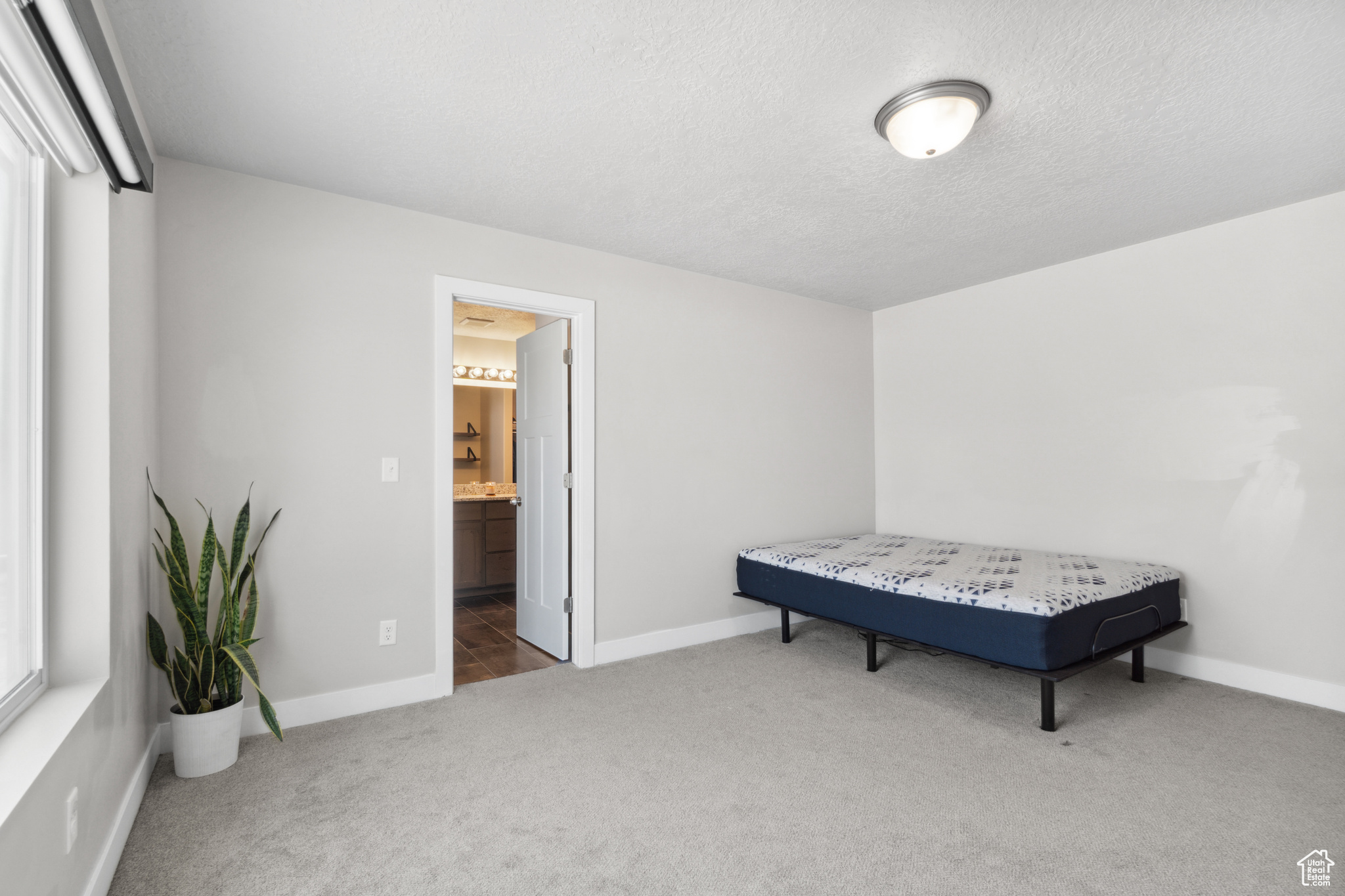 1167 W WILDFLOWER DR