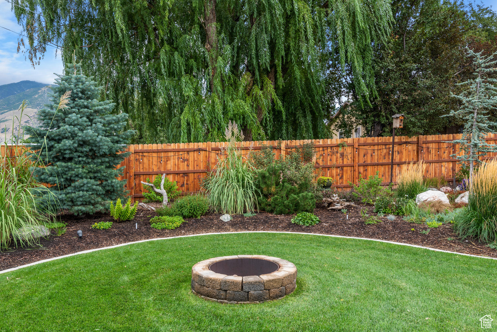 835 E CANYON BREEZE LN